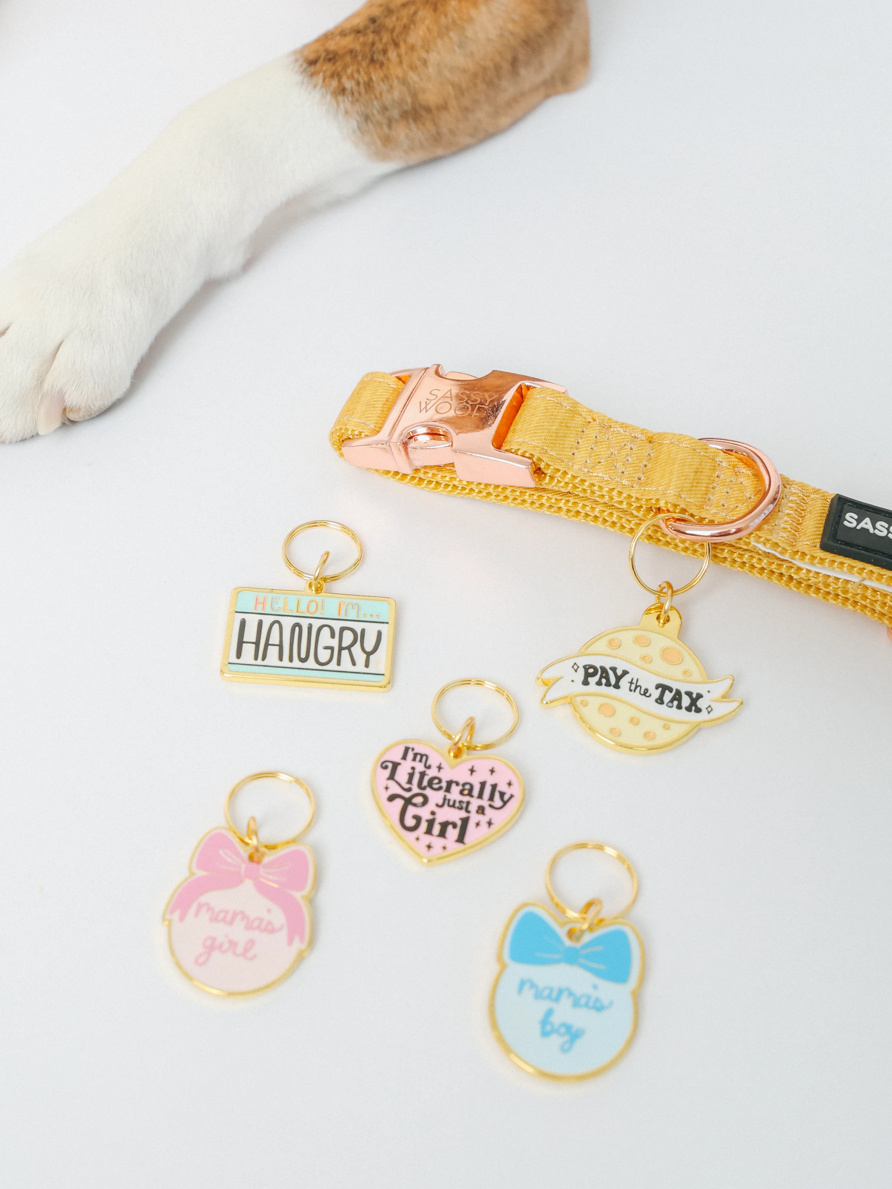 Collar Tag - Cheese Tax - Image 5