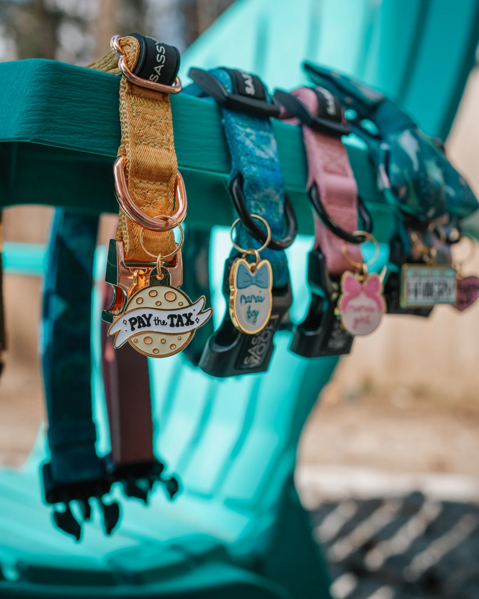 Collar Tag - Cheese Tax - Image 9