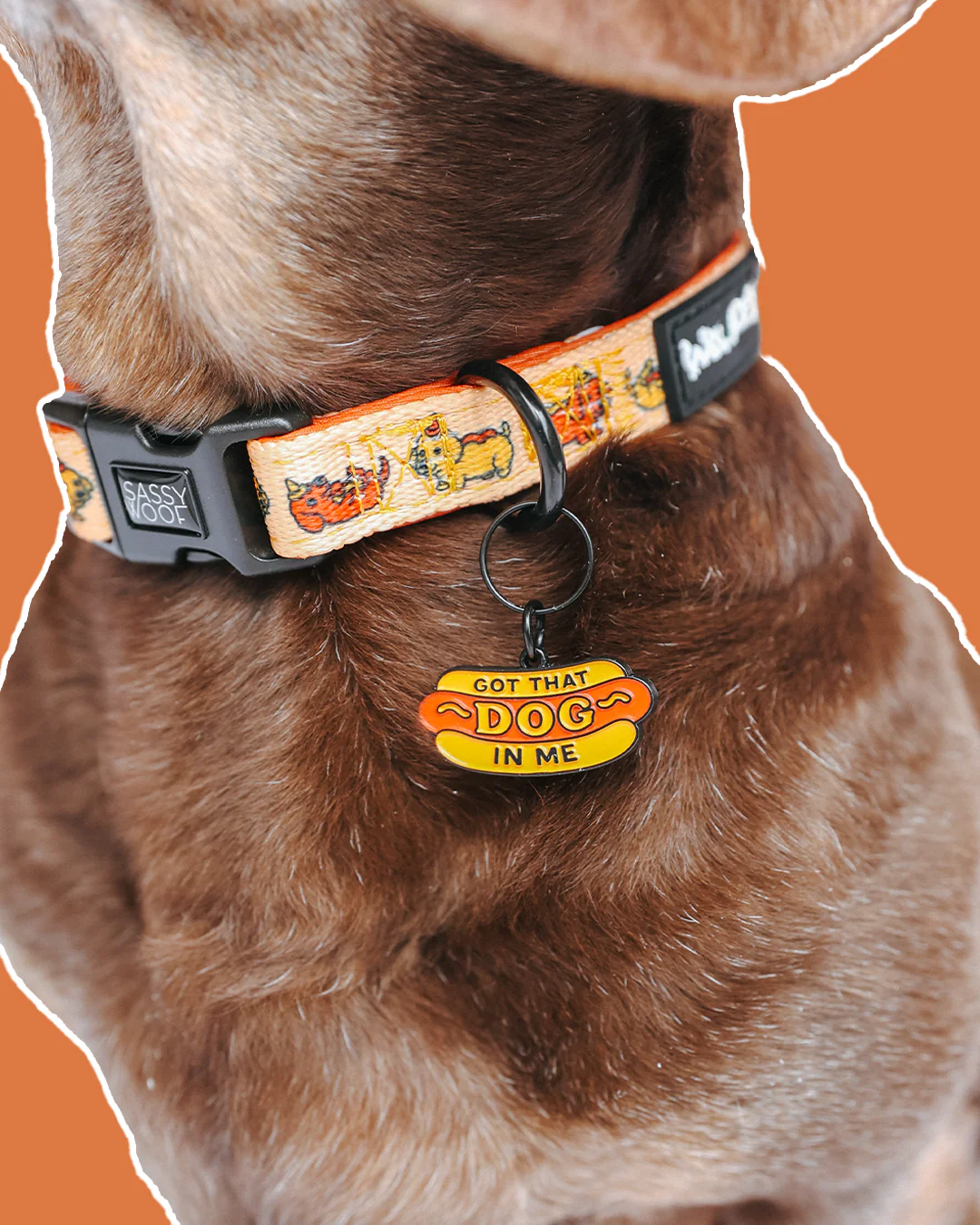 Collar Tag - Hot Dawg - Image 4