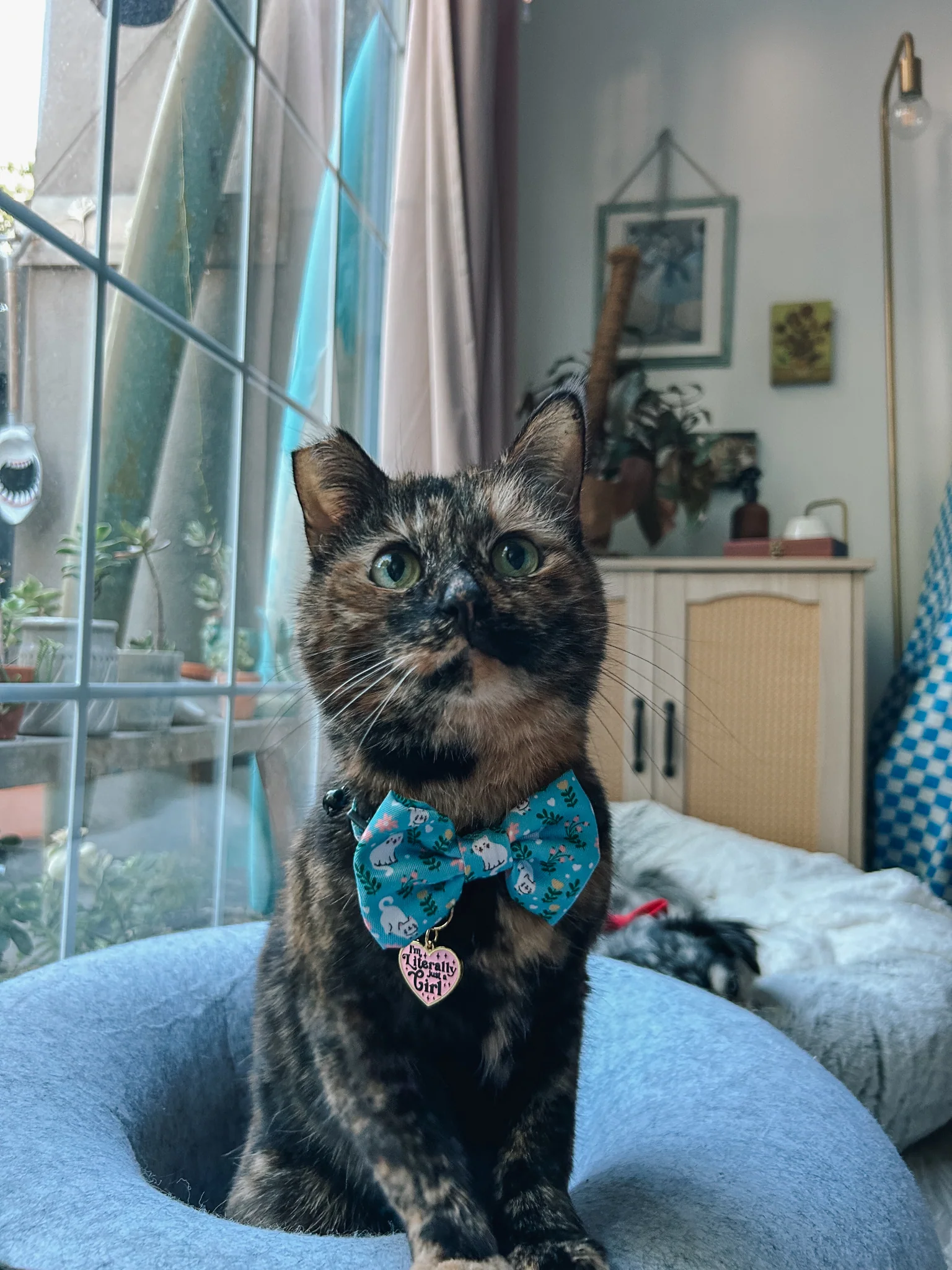 Collar Tag - Just a Girl - Image 10