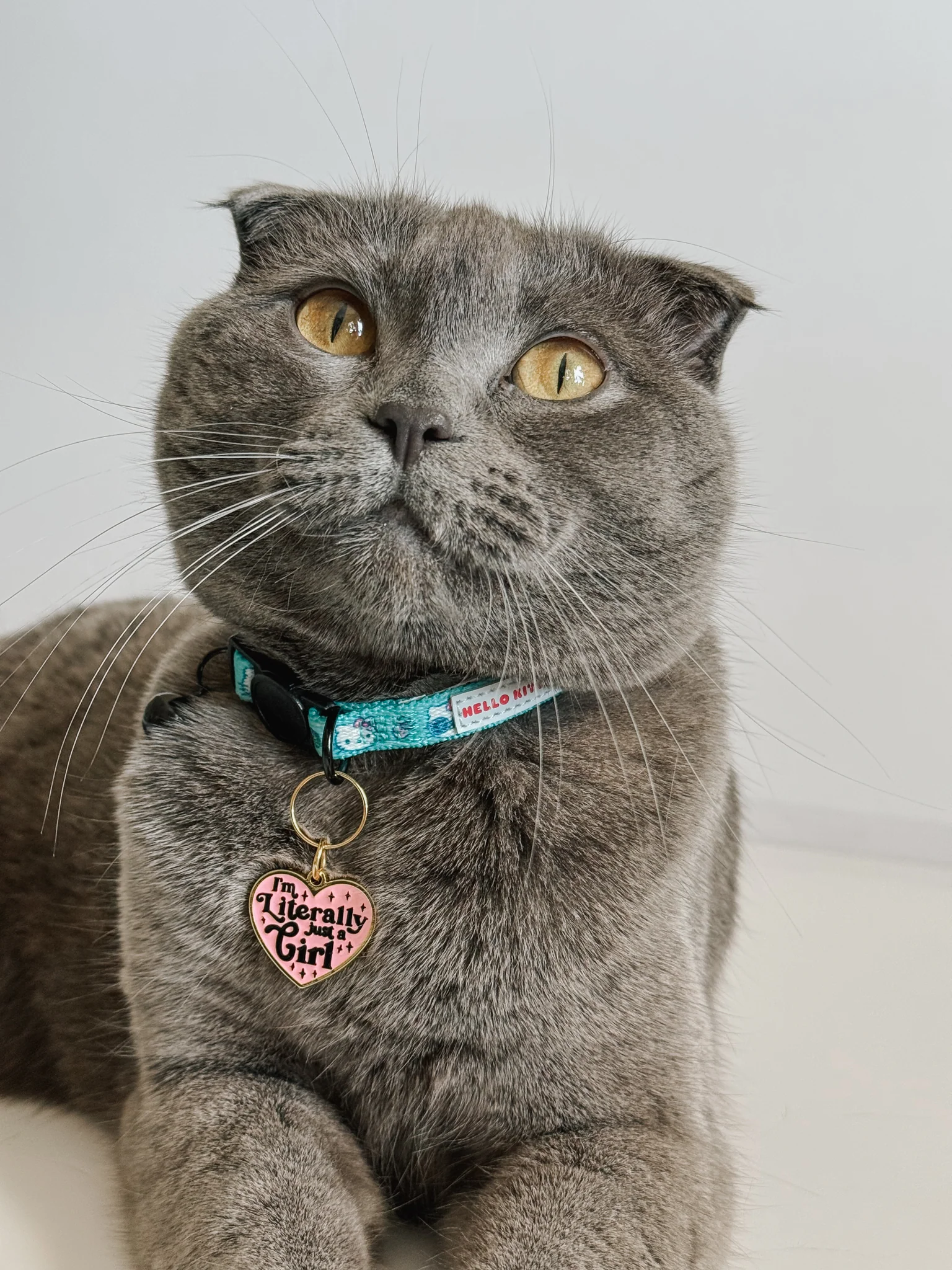 Collar Tag - Just a Girl - Image 6
