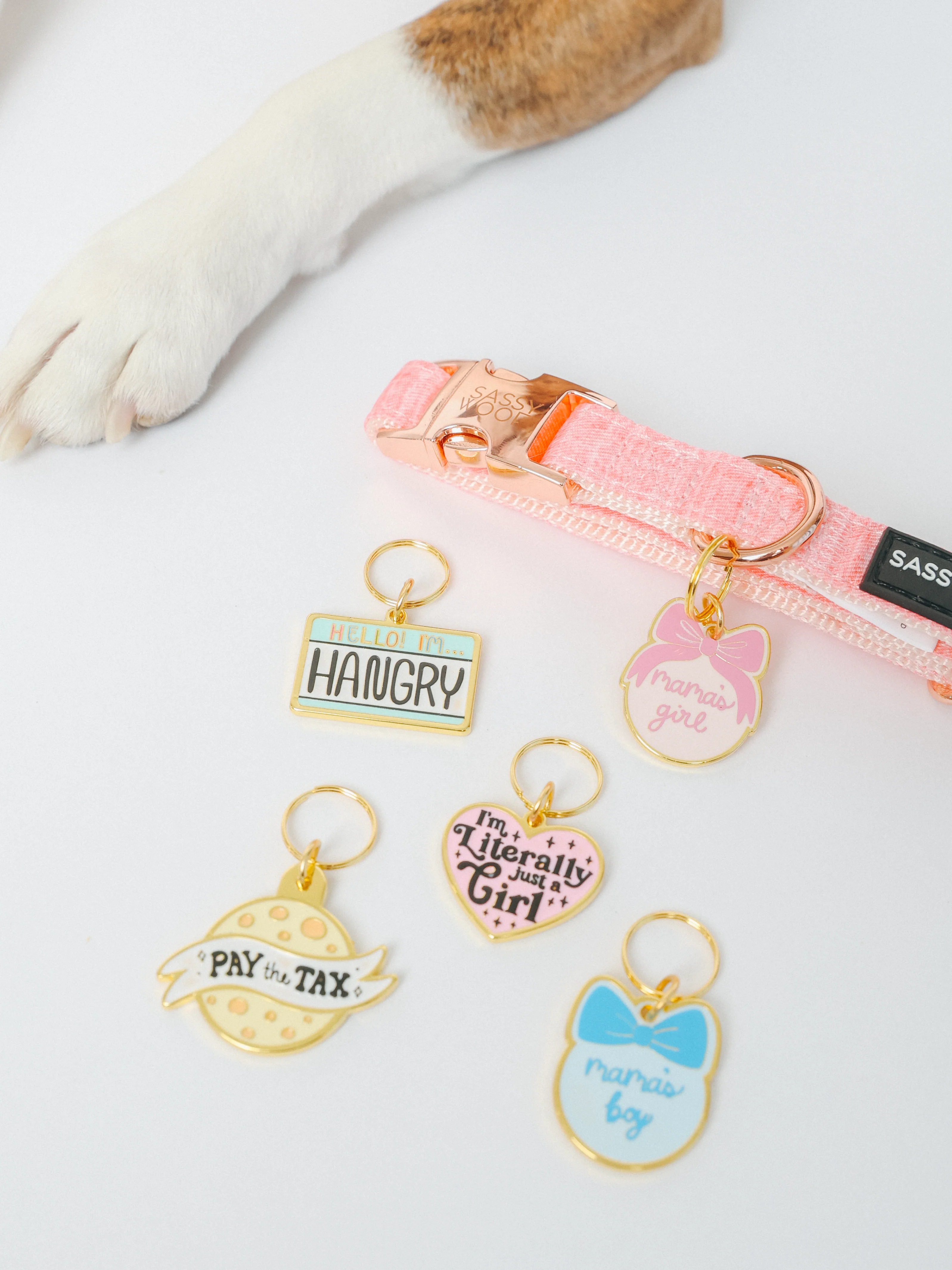 Collar Tag - Mama's Girl (Gold) - Image 5