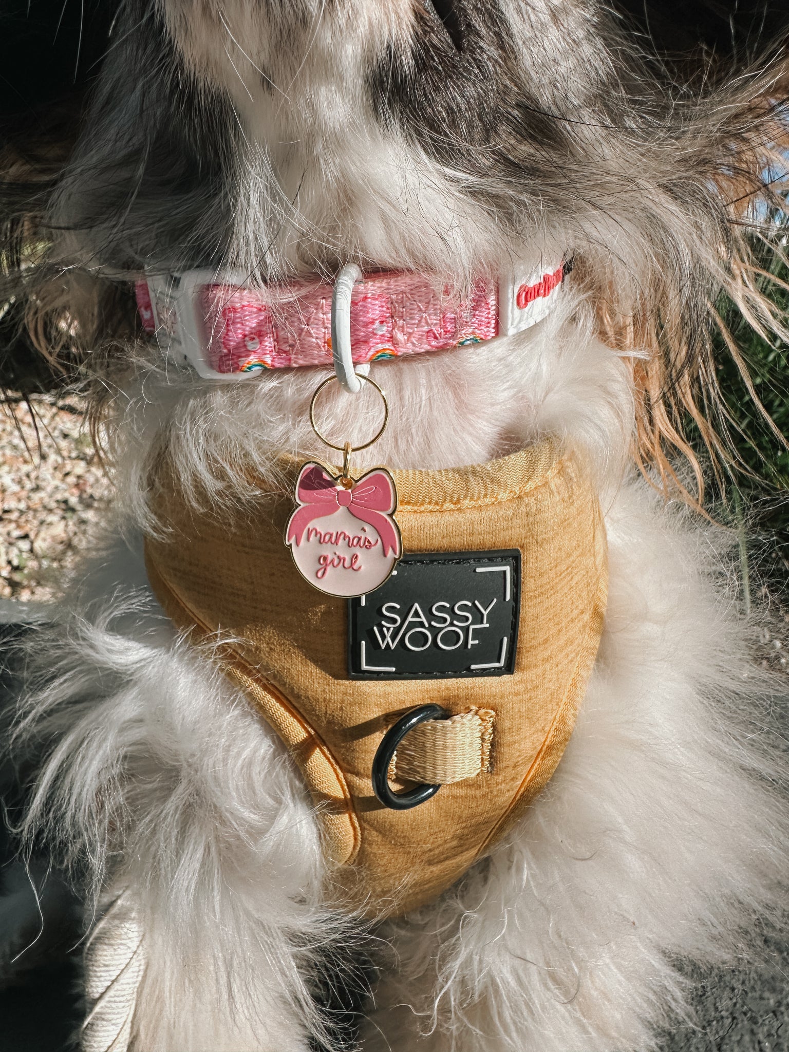 Collar Tag - Mama's Girl (Gold) - Image 6