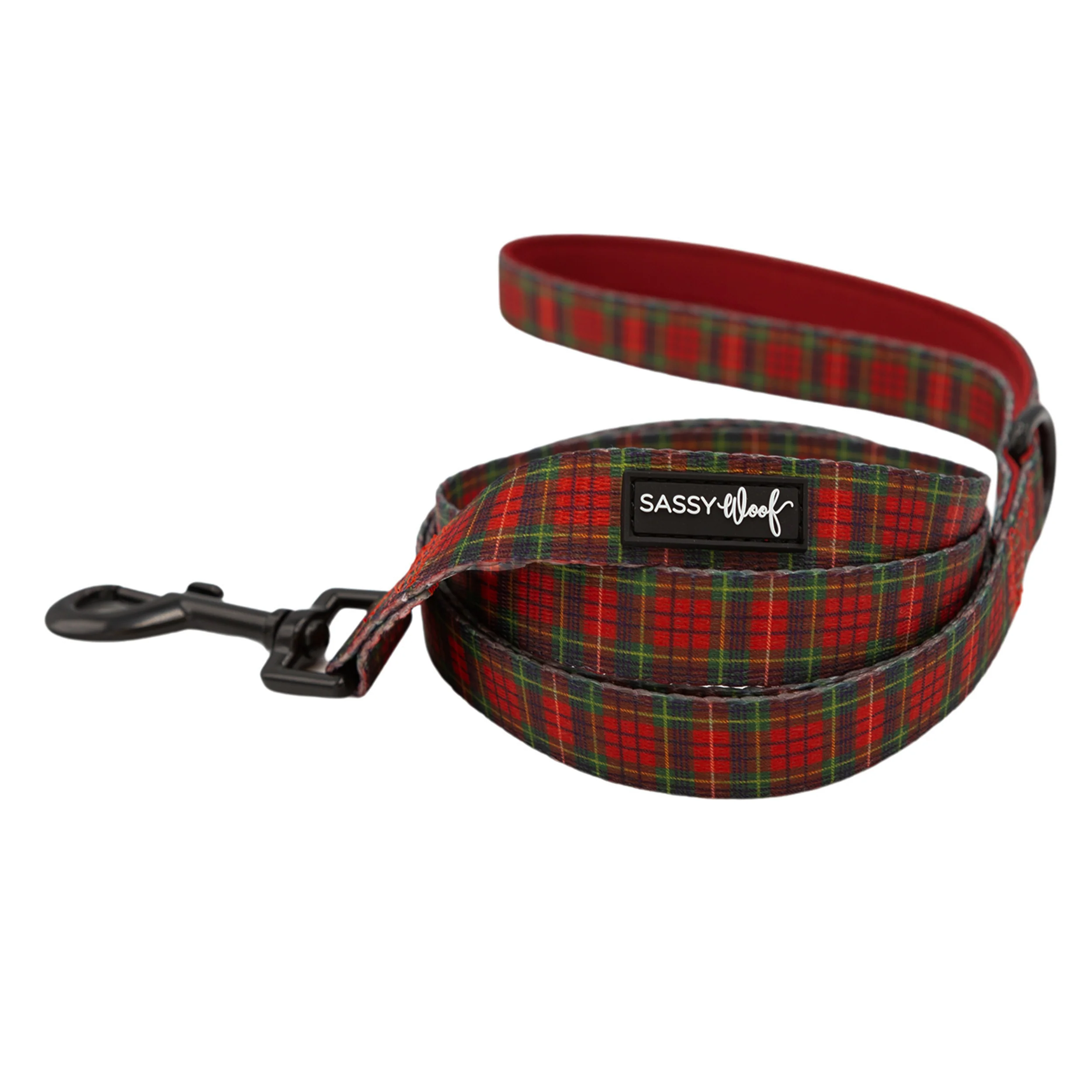 Collar Three Piece Bundle - Deck the Paws - Image 4