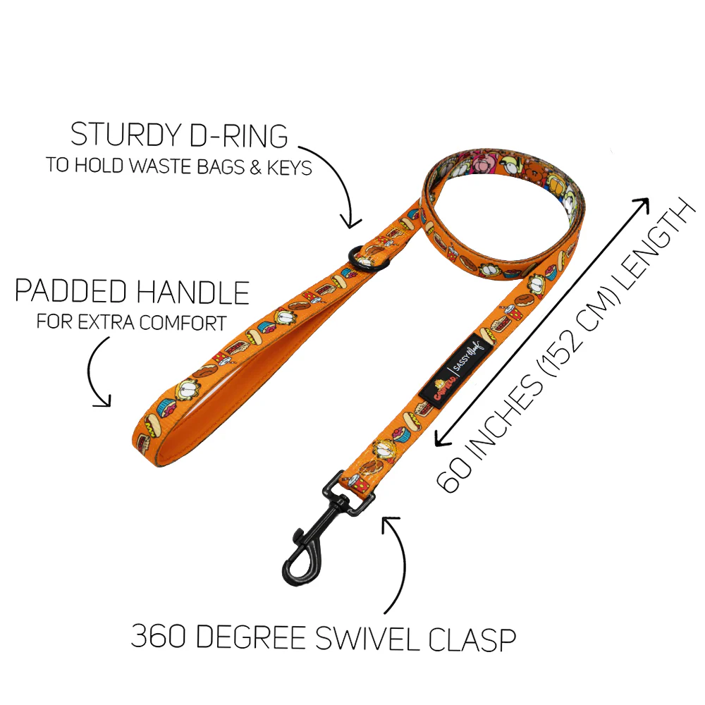 Collar Three Piece Bundle - Garfield™ - Image 5