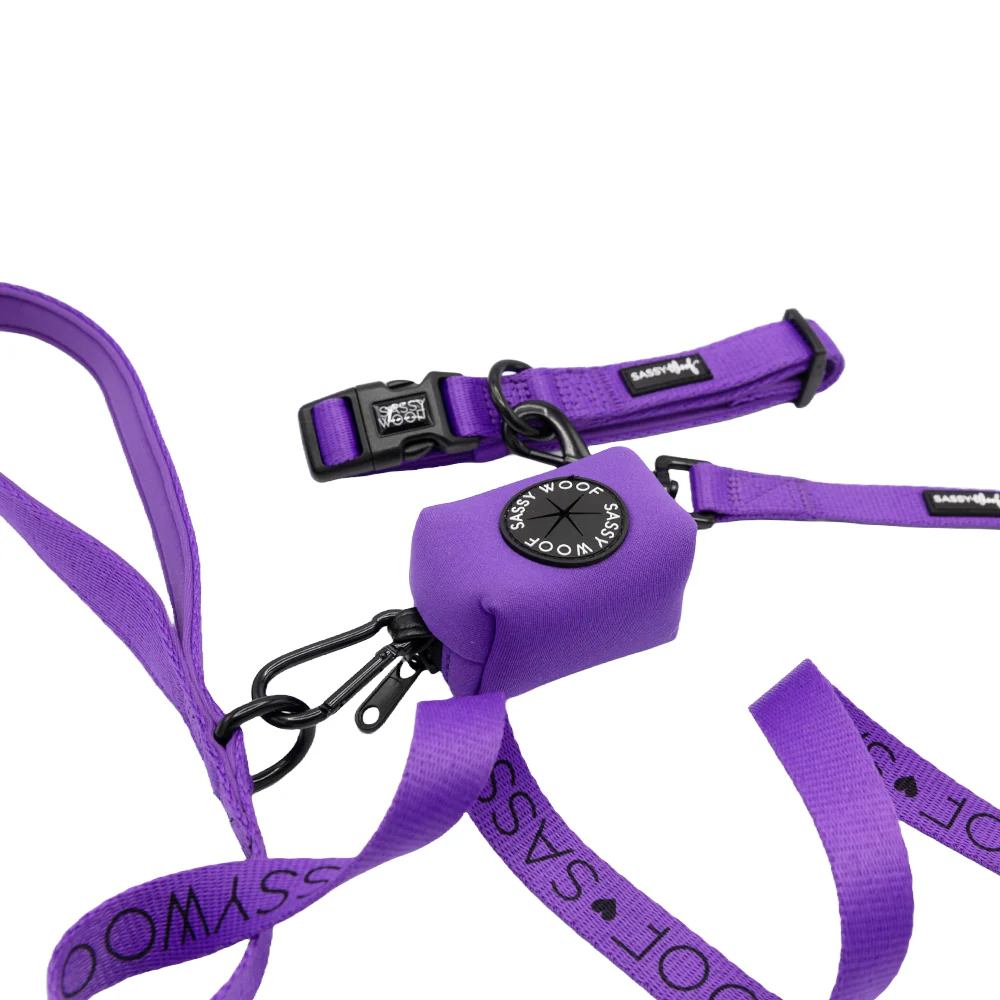 Collar Three Piece Bundle - Neon Purple - Image 2