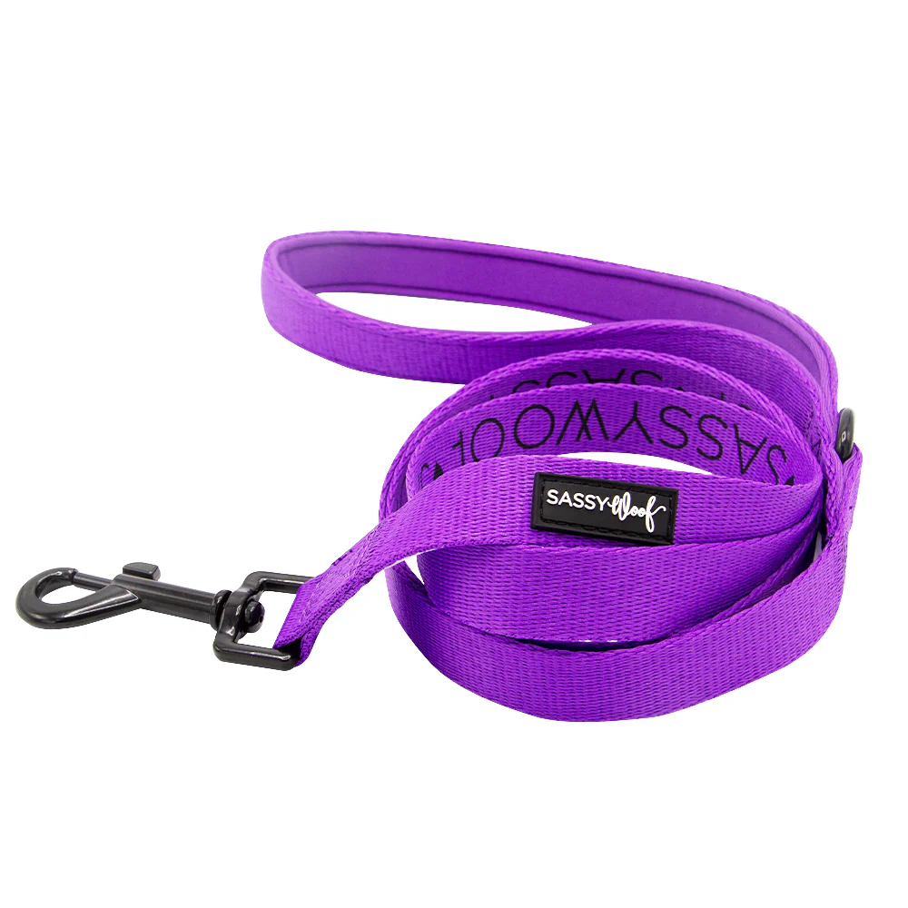 Collar Three Piece Bundle - Neon Purple - Image 5