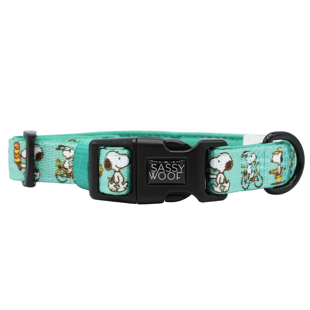 Collar Three Piece Bundle - Peanuts™ Road Tripping - Image 3