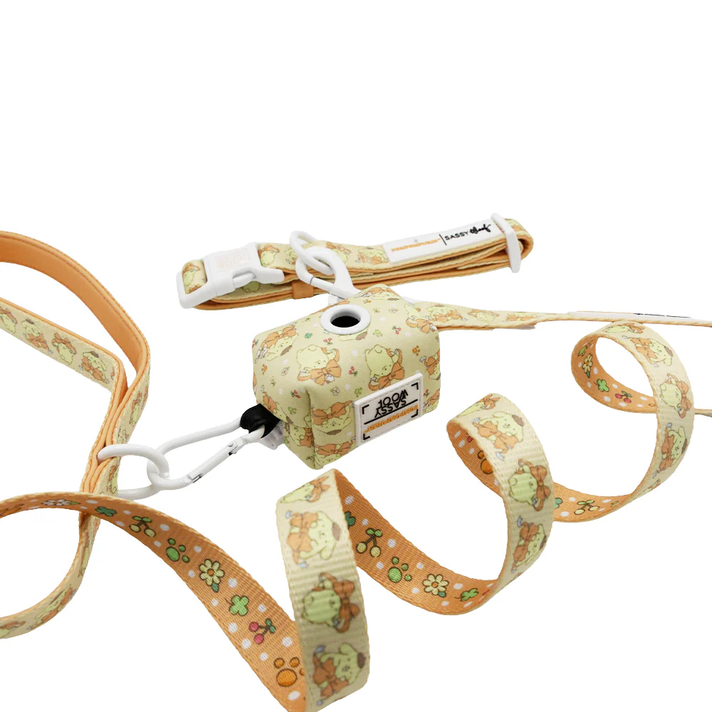 Collar Three Piece Bundle - Pompompurin™ - Image 2