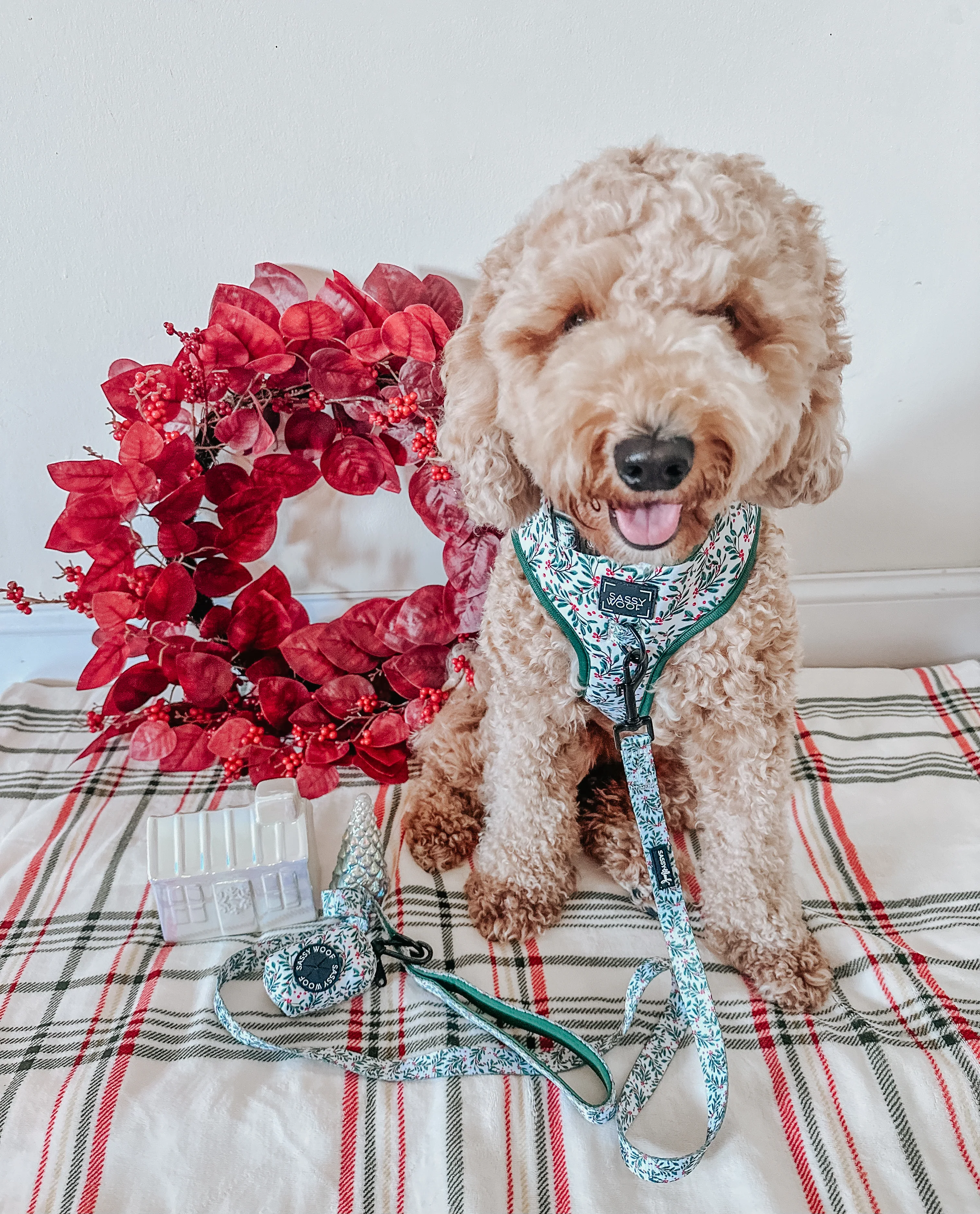 Dog Adjustable Harness - Under the Mistletoe - Image 15