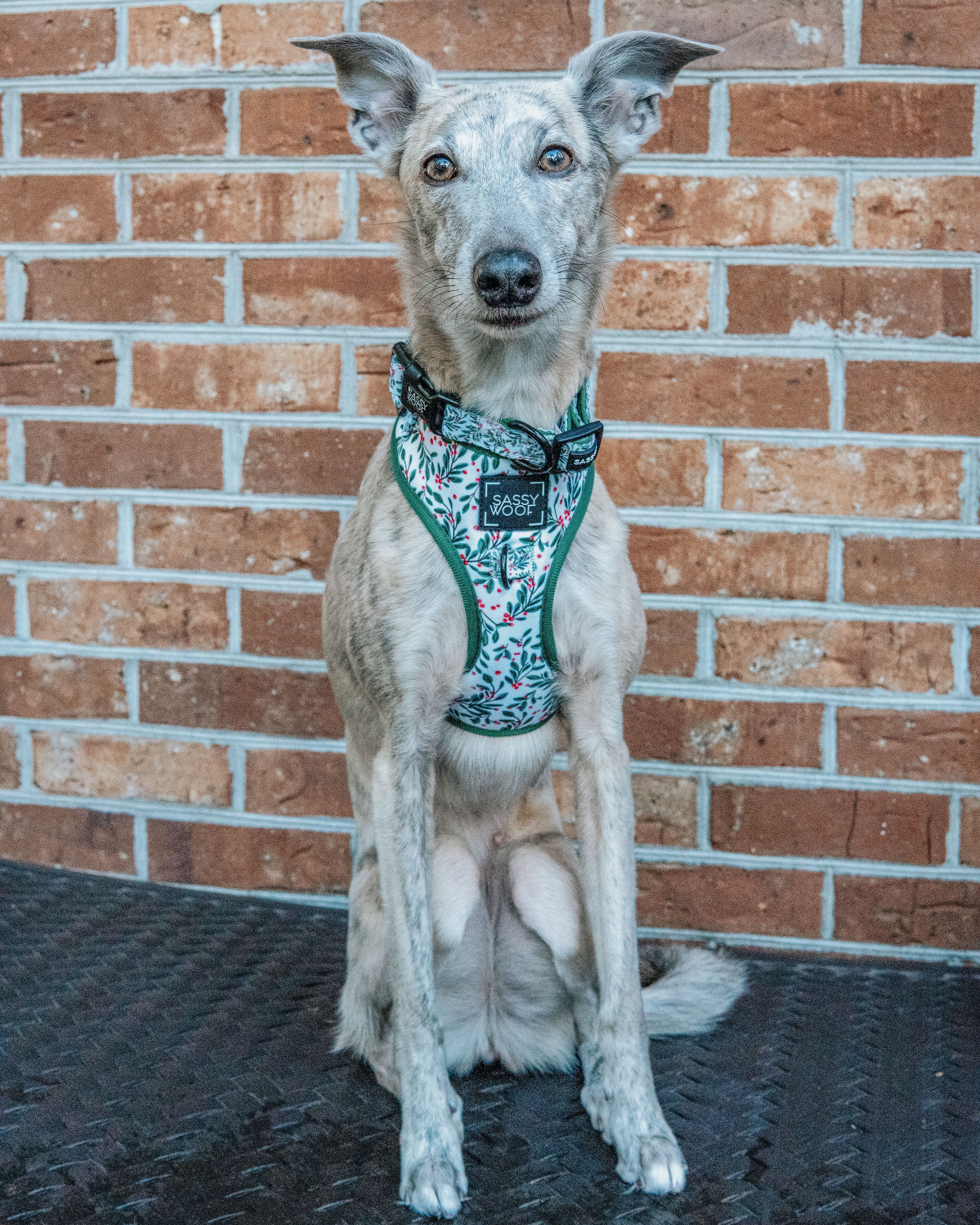 Dog Adjustable Harness - Under the Mistletoe - Image 16