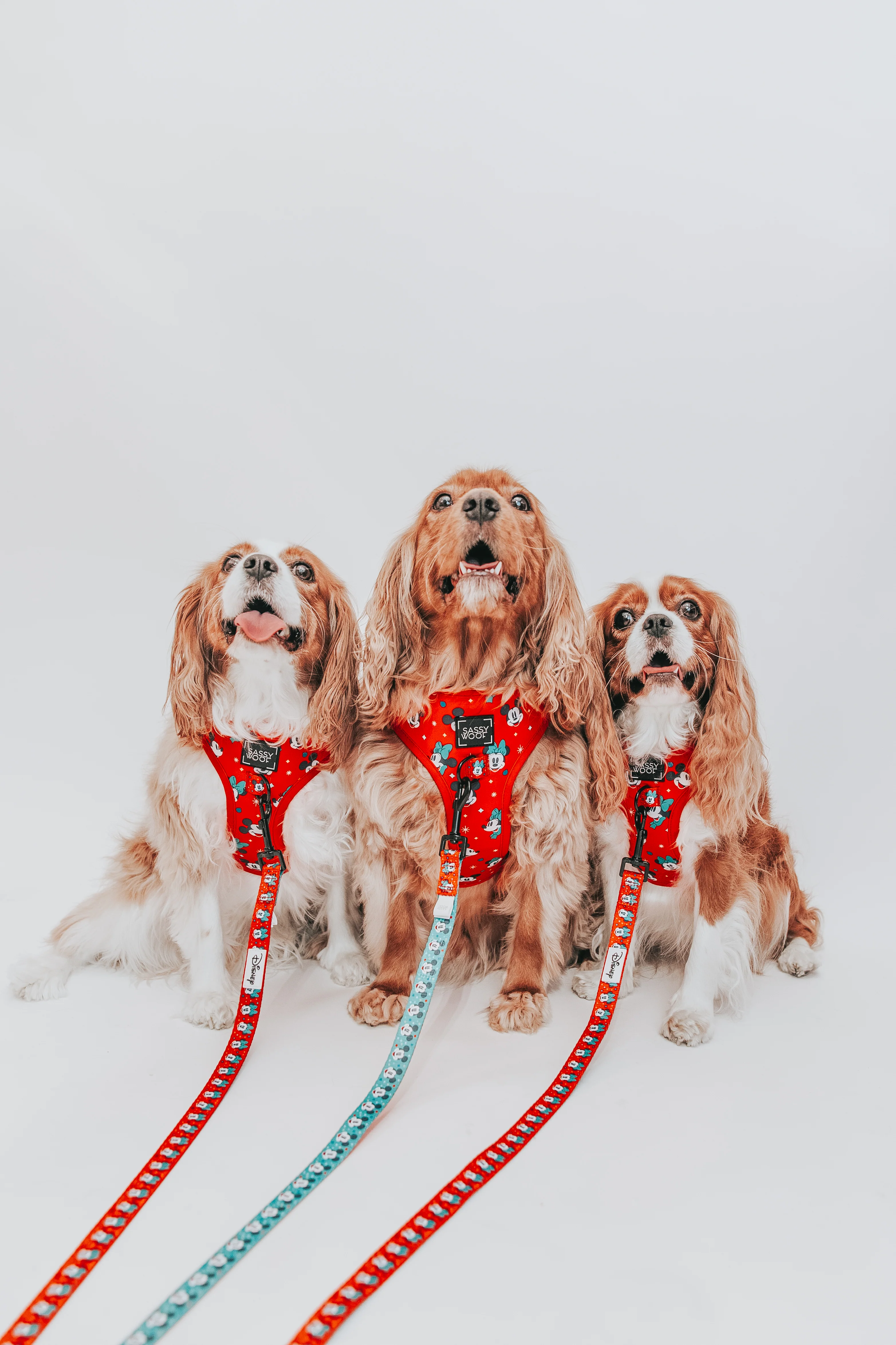 Harness Three Piece Bundle - Disney Holiday Collection - Image 19