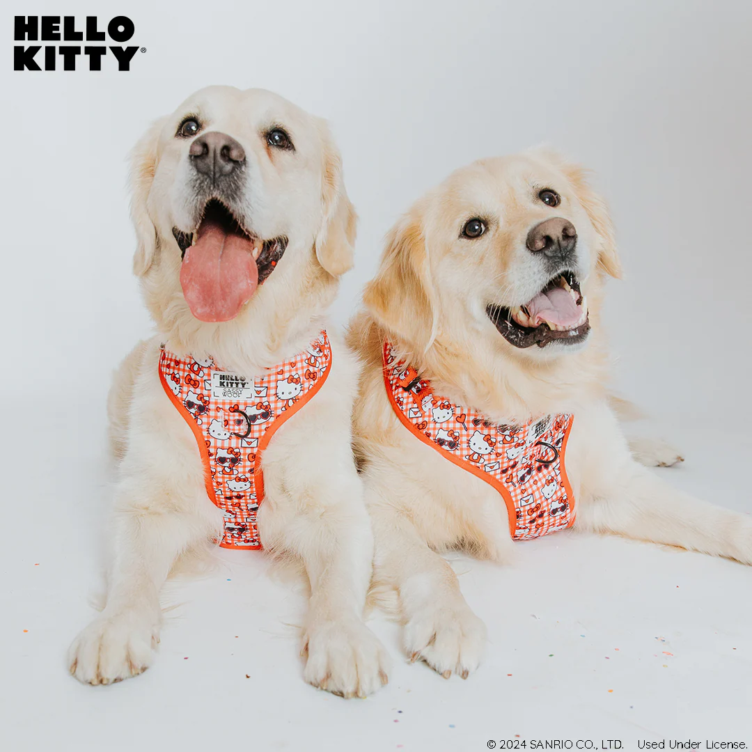 Dog Four Piece Bundle - Hello Kitty® Red Classic - Image 11