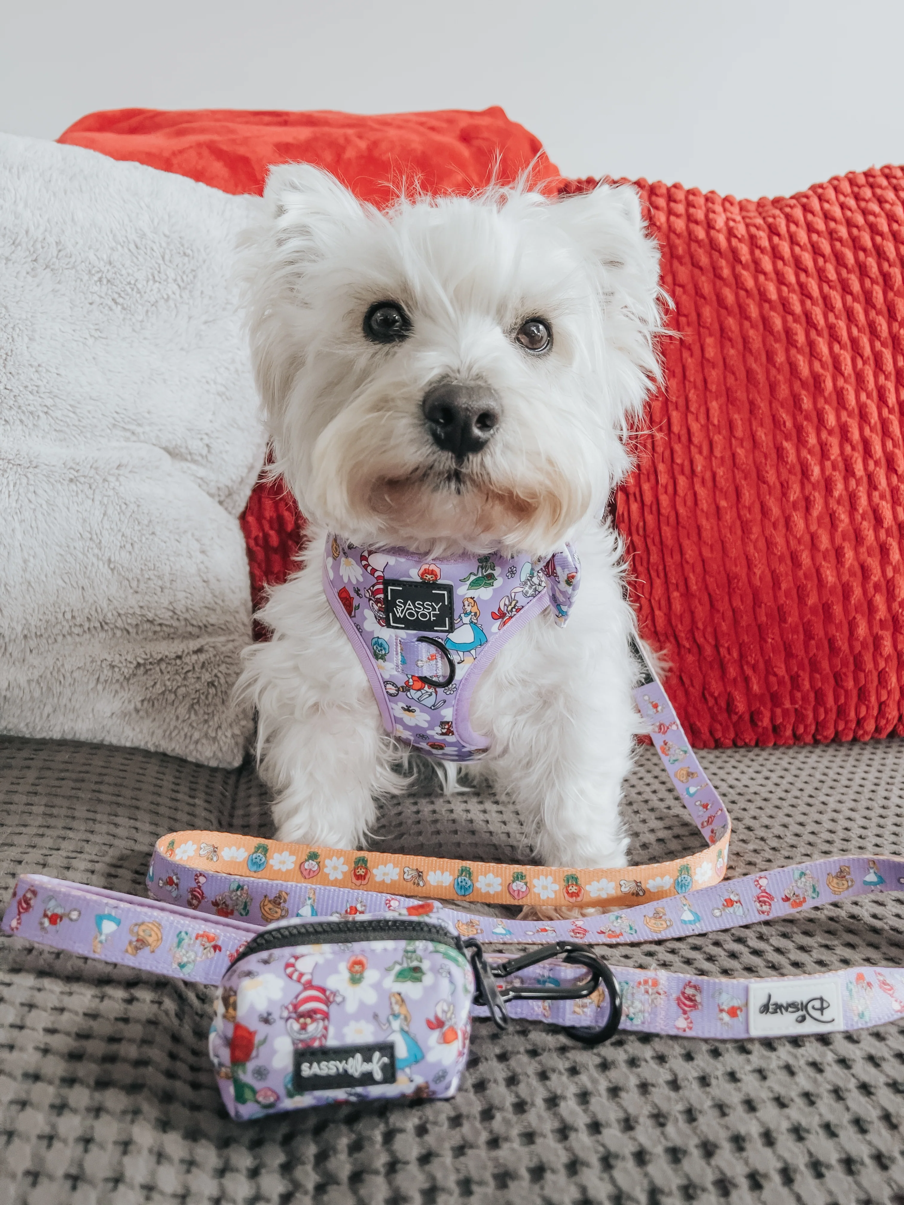 Dog Adjustable Harness - Alice in Wonderland (Purple) - Image 8