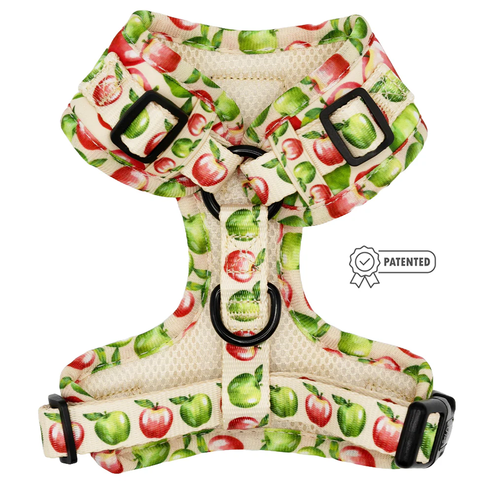 Dog Adjustable Harness - Apple of My Eye - Image 2