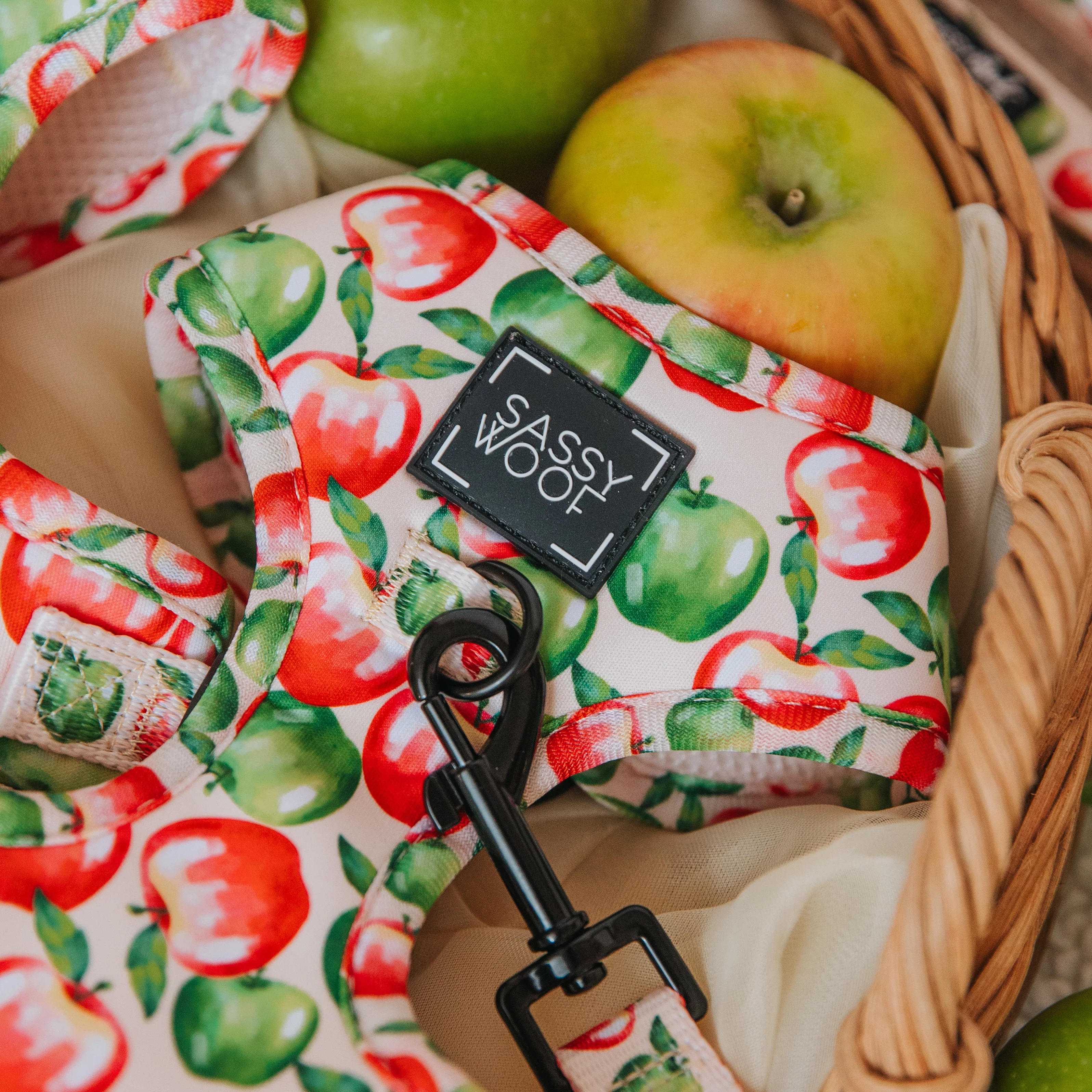 Dog Adjustable Harness - Apple of My Eye - Image 5