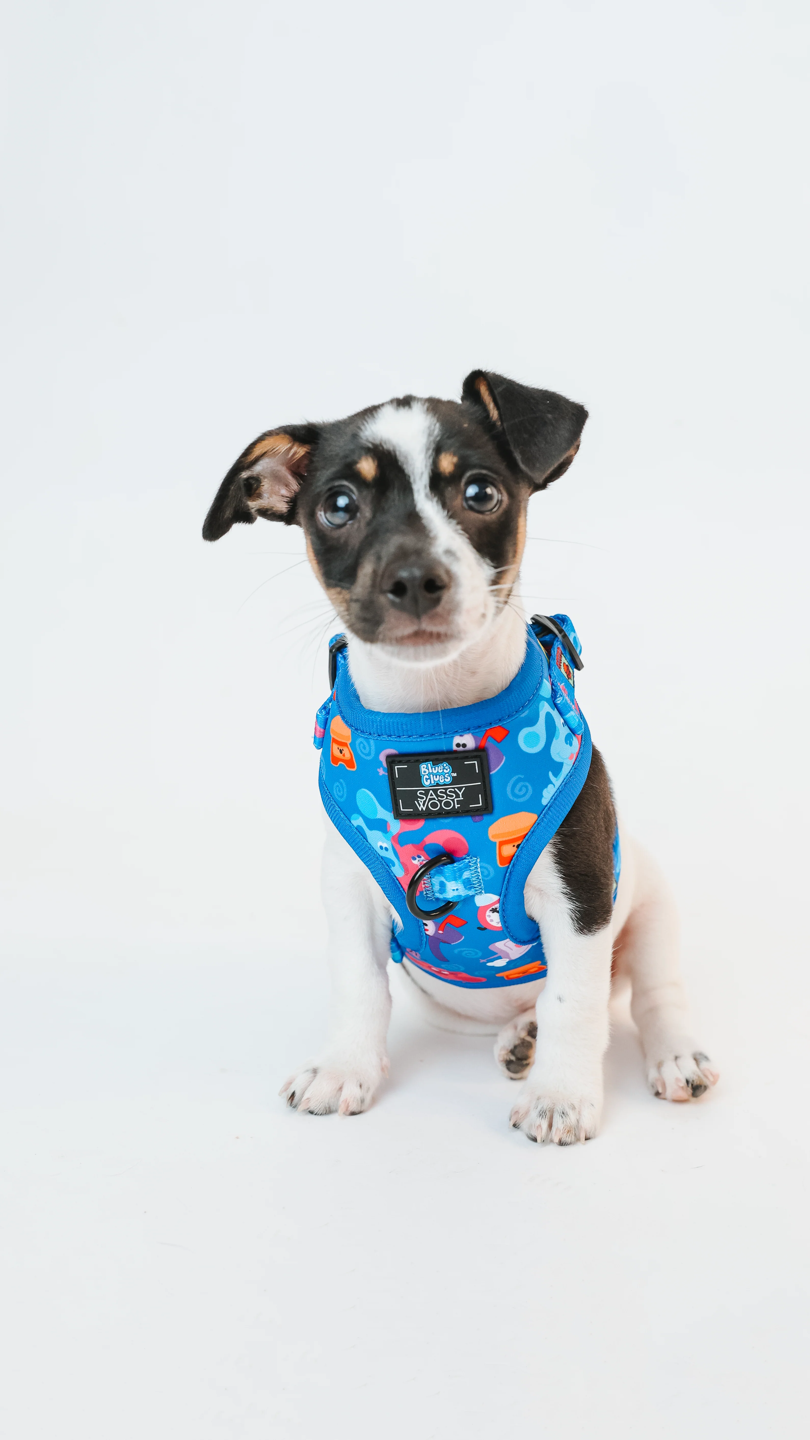 Dog Adjustable Harness - Blue's Clues™ - Image 7