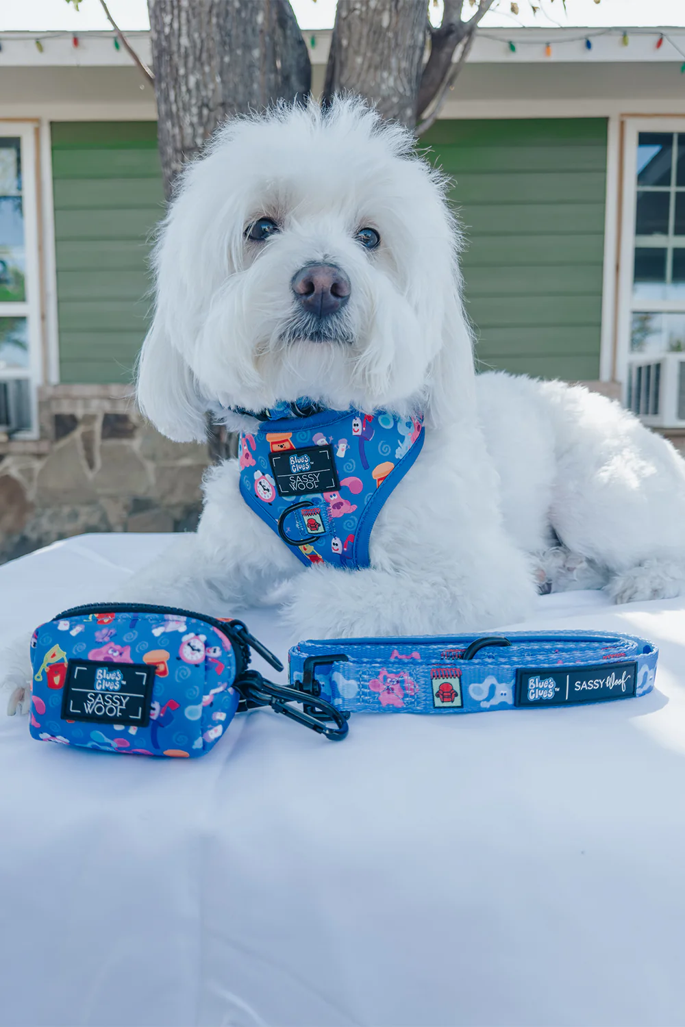 Dog Adjustable Harness - Blue's Clues™ - Image 9