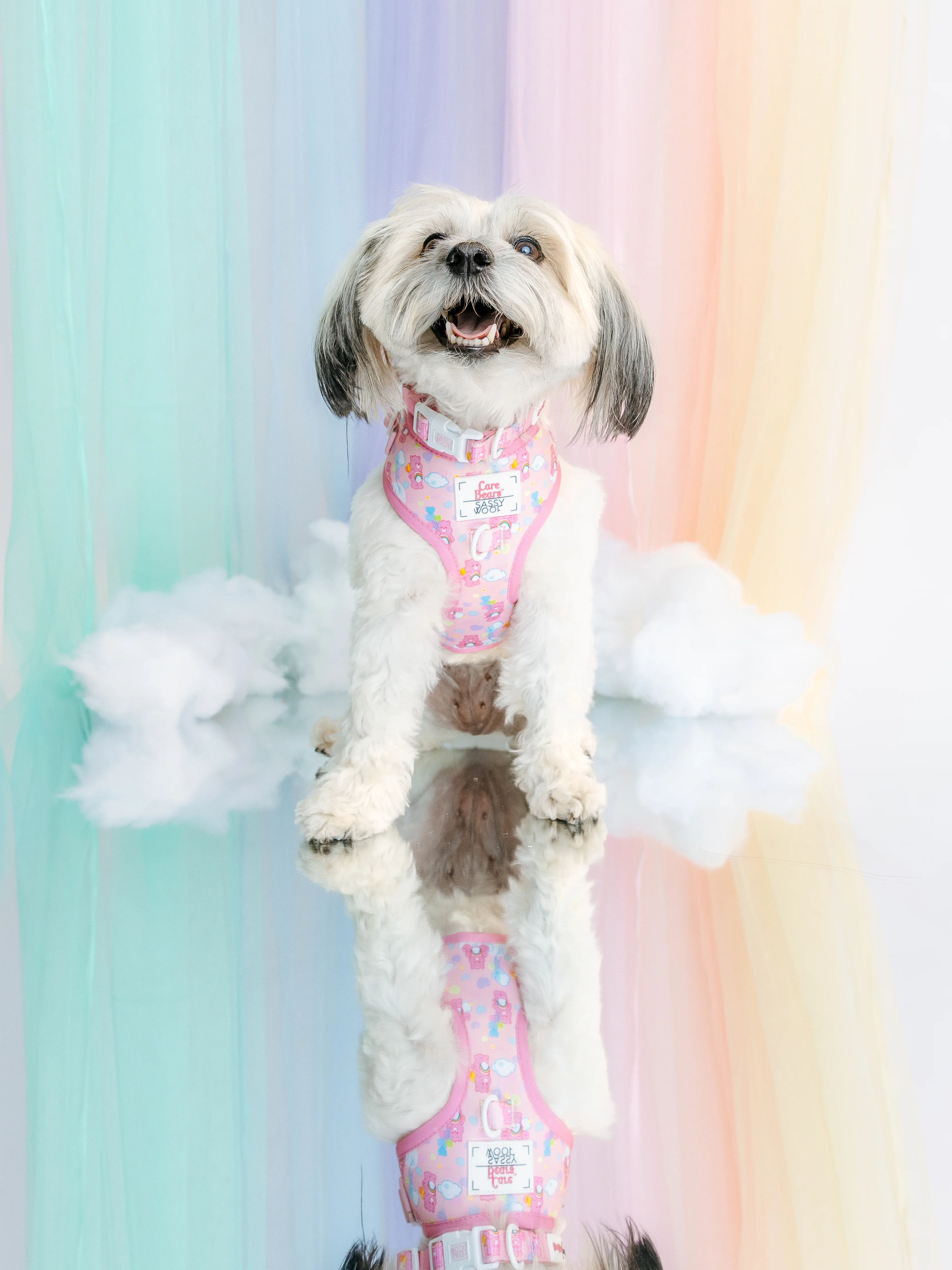 Dog Adjustable Harness - Care Bears™ Cheer Bear - Image 14
