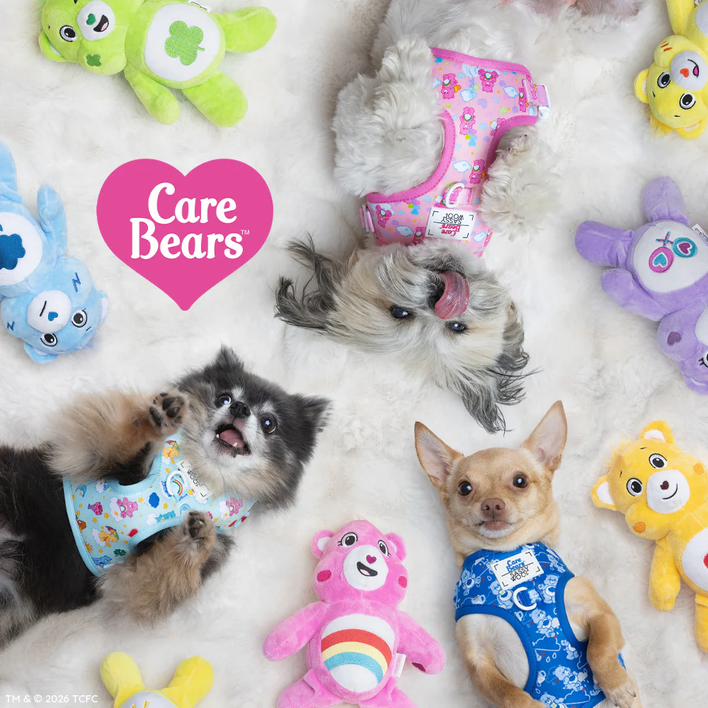 Dog Adjustable Harness - Care Bears™ Grumpy Bear - Image 6