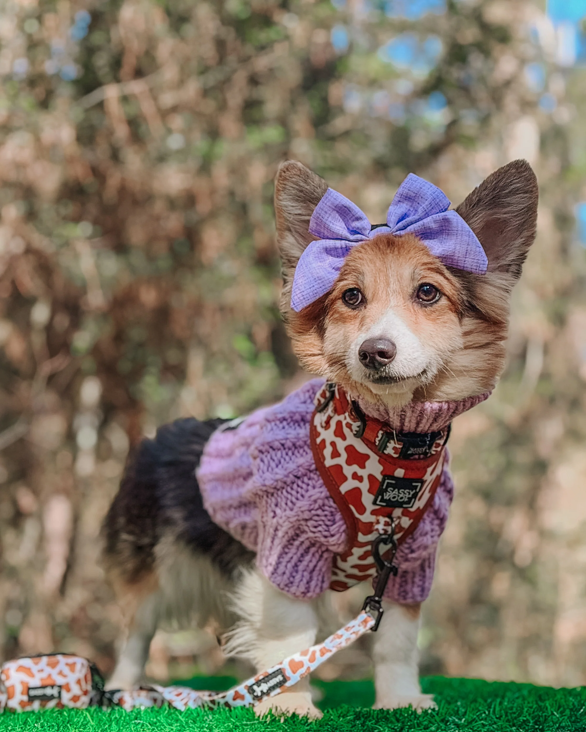 Dog Adjustable Harness - Chocolate Milk - Image 9