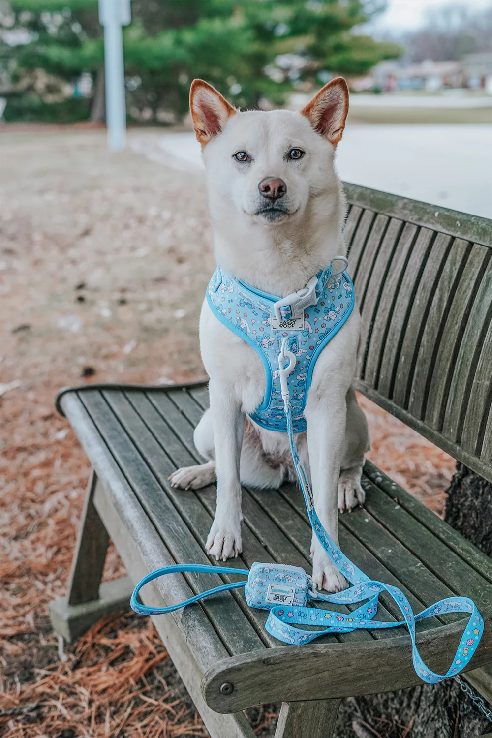 Dog Adjustable Harness - Cinnamoroll™ - Image 7