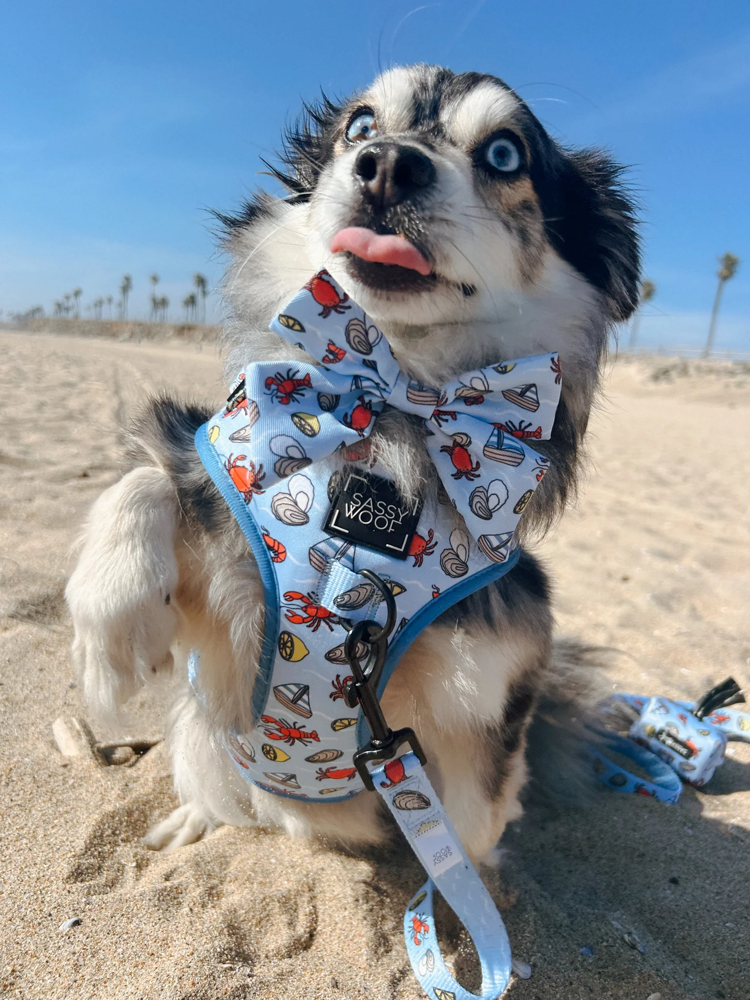 Dog Adjustable Harness - Coastal Cuties - Image 13