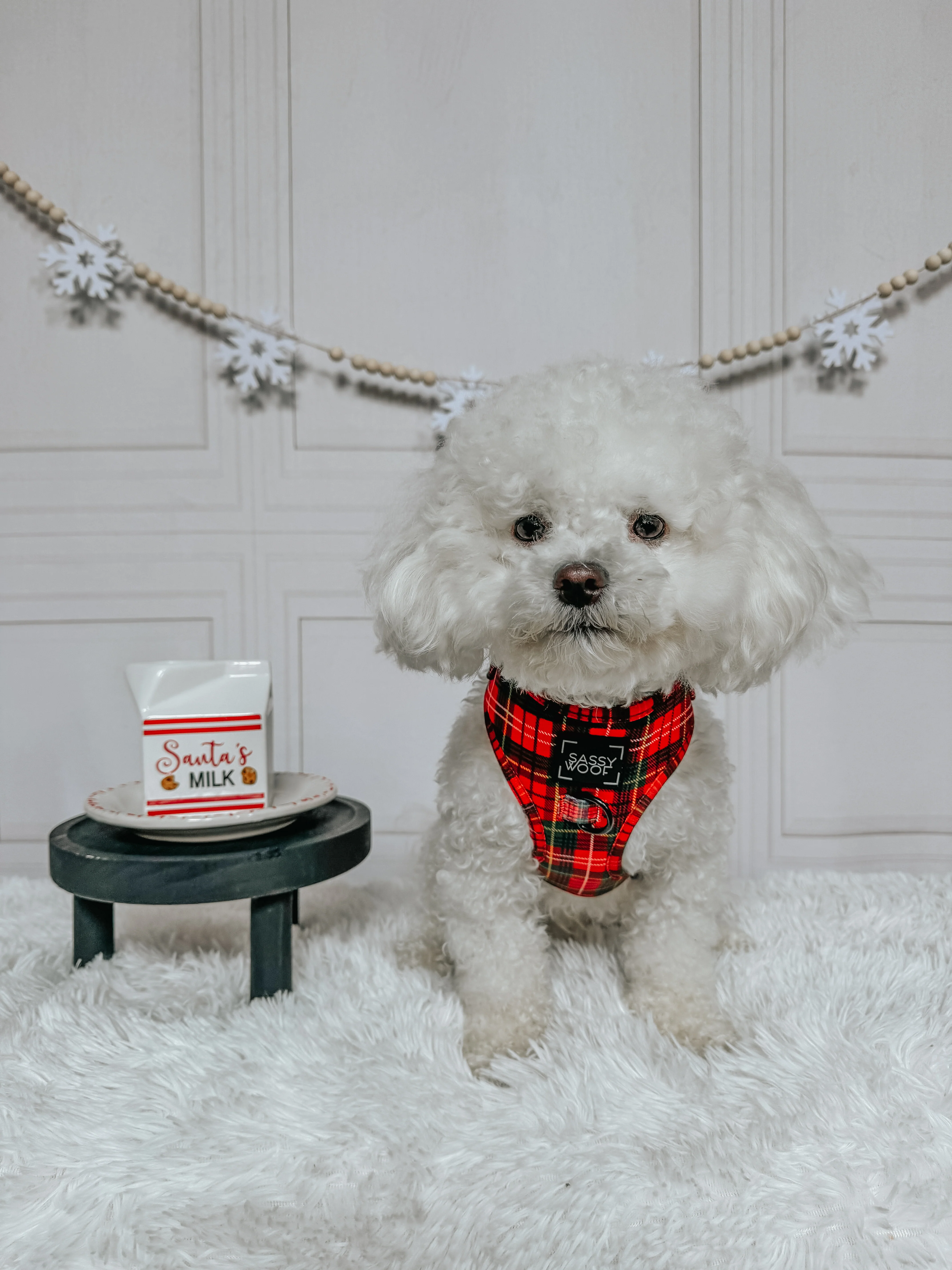 Dog Adjustable Harness - Deck the Paws - Image 26