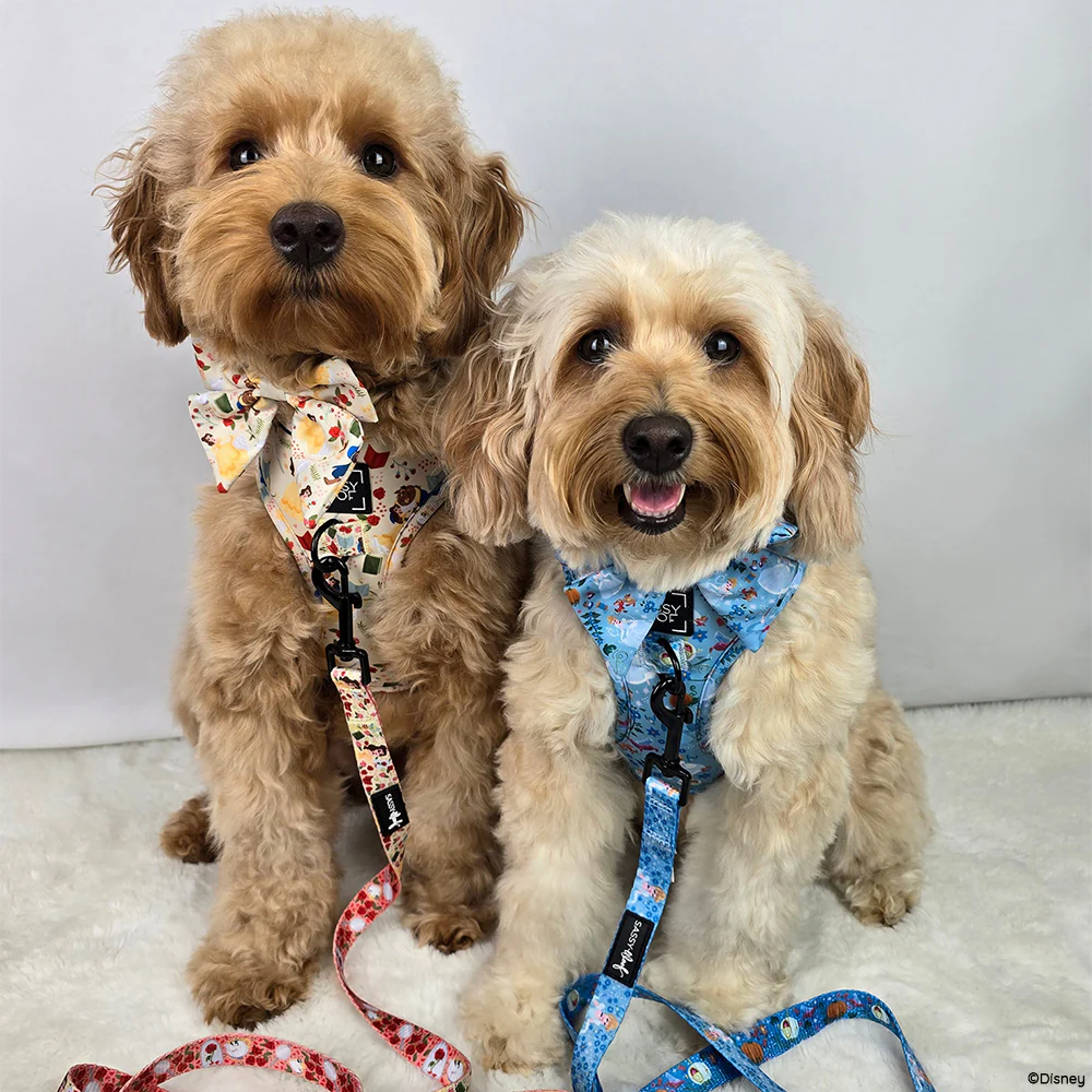 Dog Adjustable Harness - Disney's Cinderella - Image 8