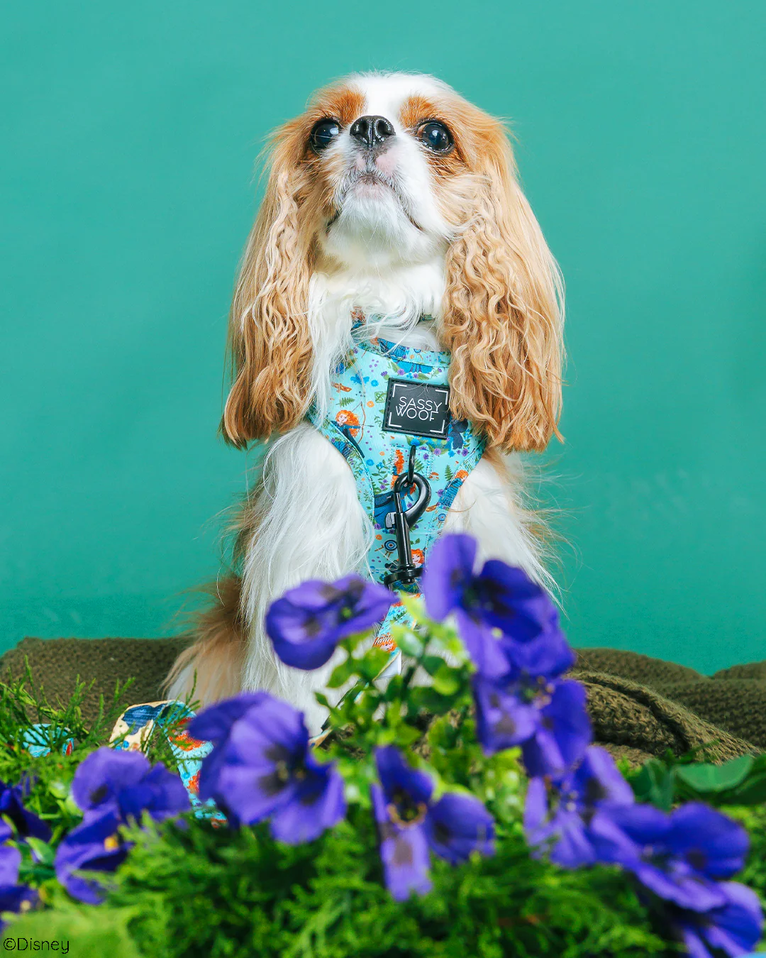 Dog Adjustable Harness - Disney's Merida - Image 7