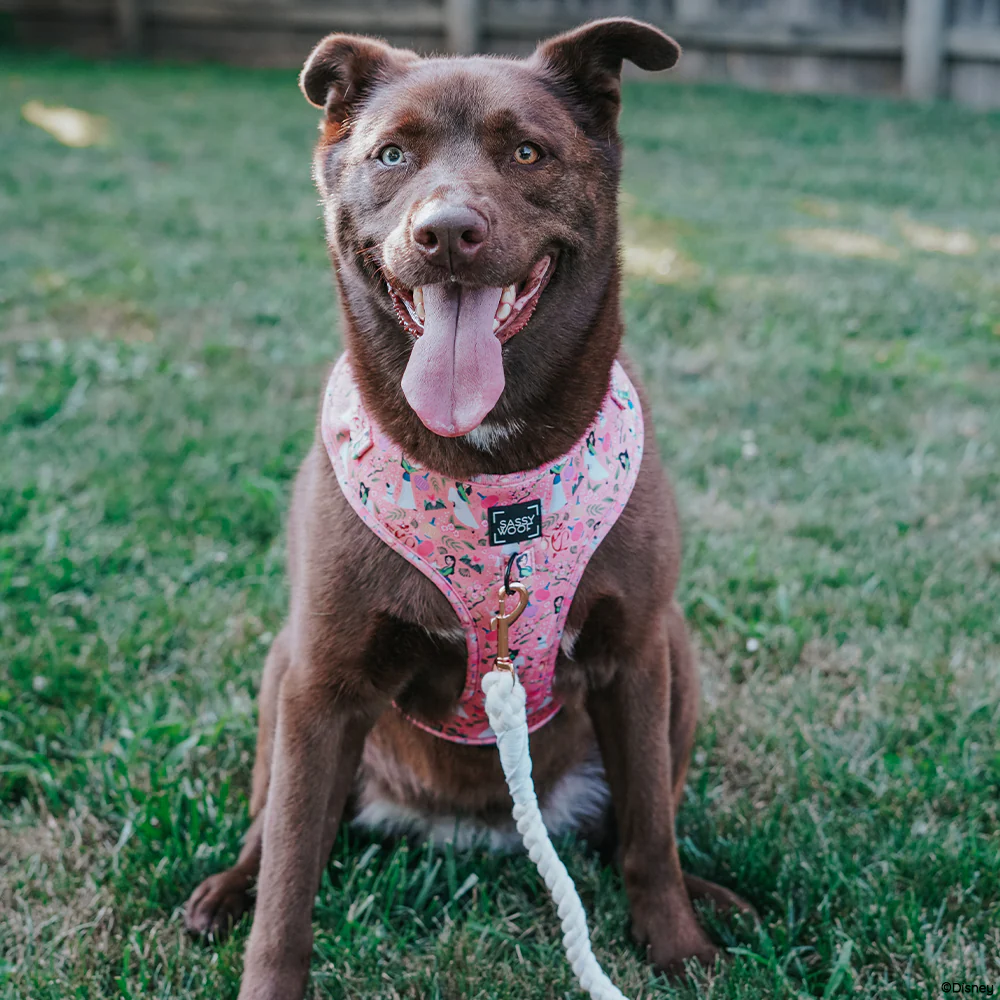 Dog Adjustable Harness - Disney's Mulan - Image 8