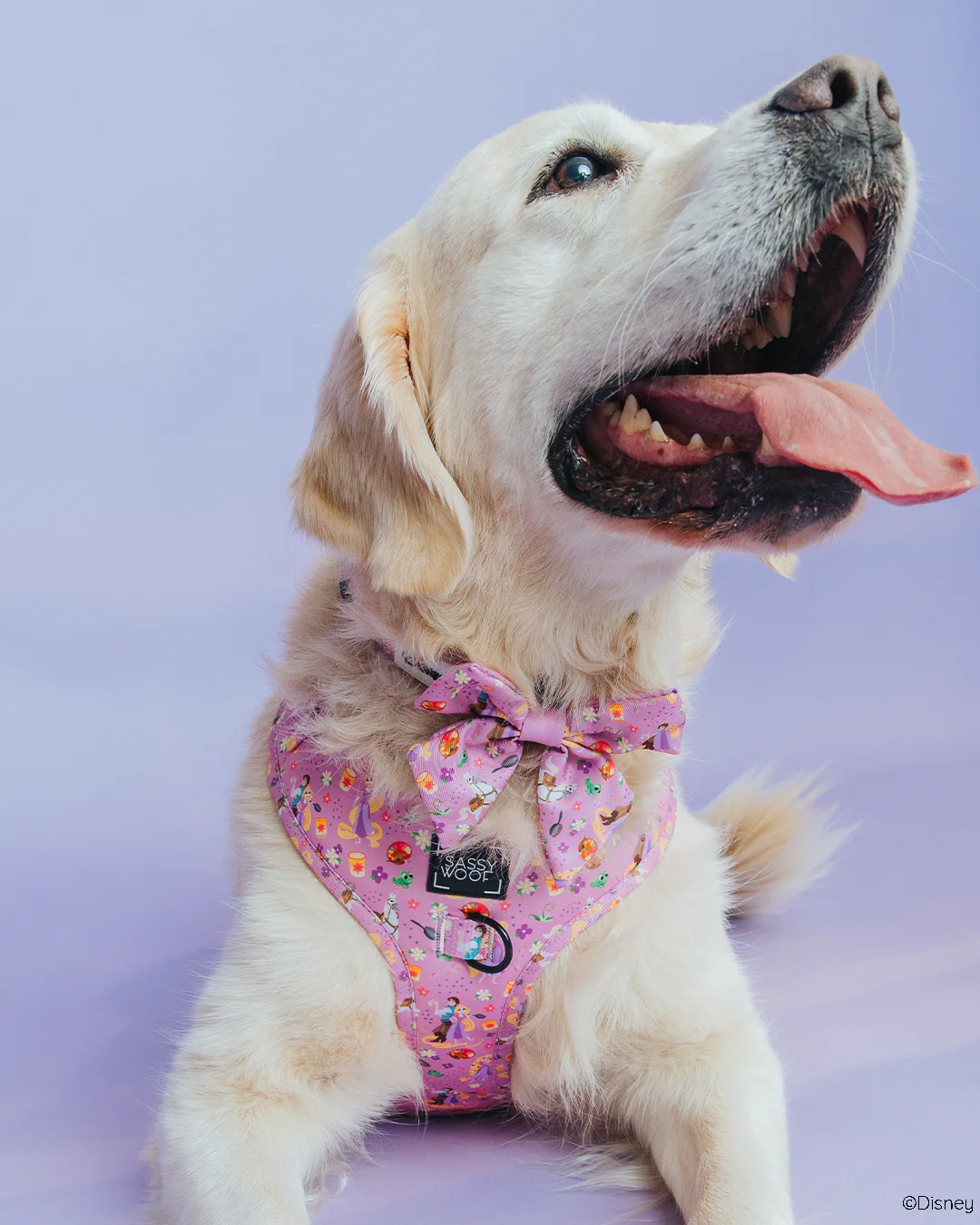 Dog Adjustable Harness - Disney's Rapunzel - Image 6