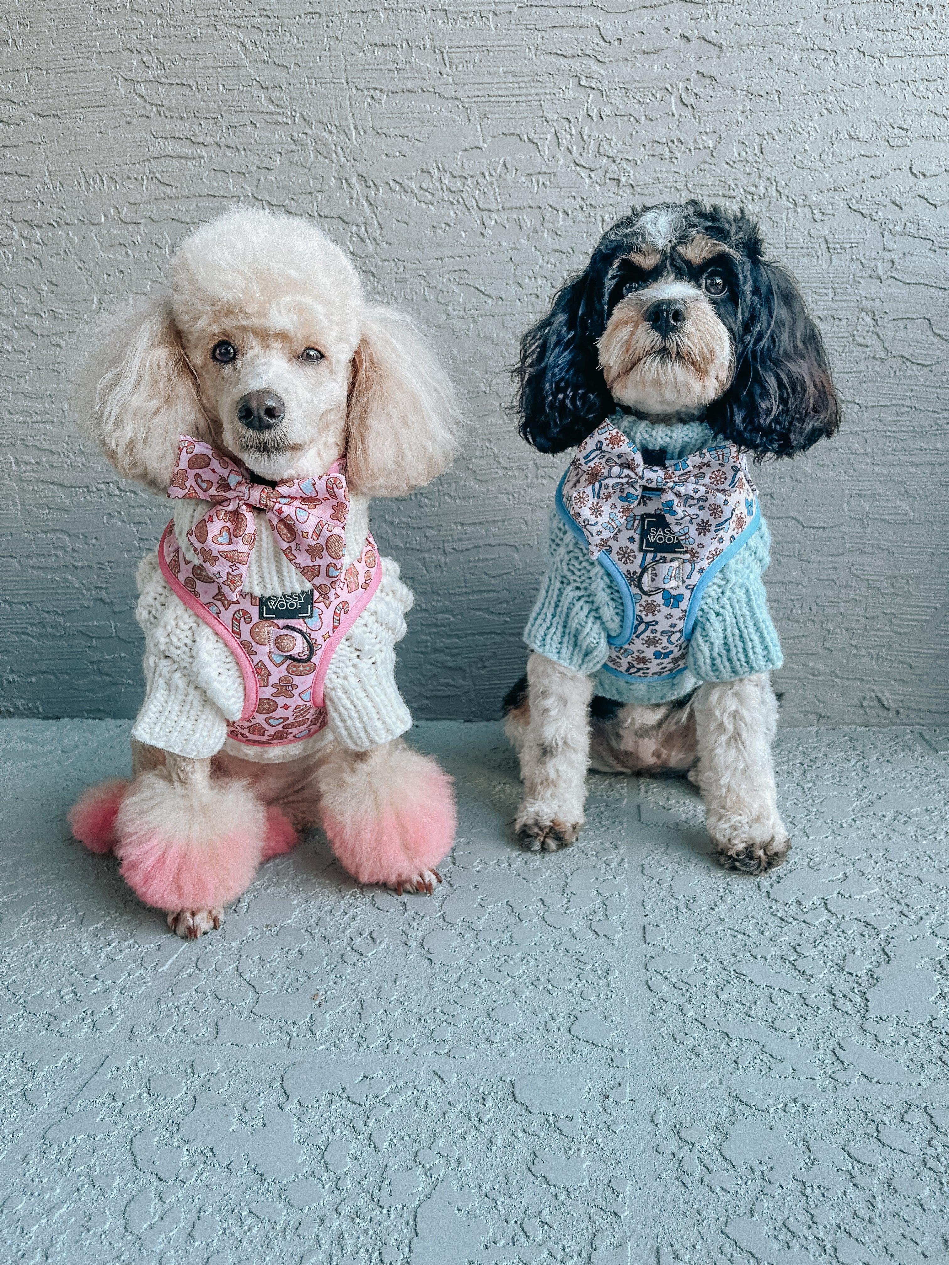 Dog Adjustable Harness - Dough My Goodness - Image 11