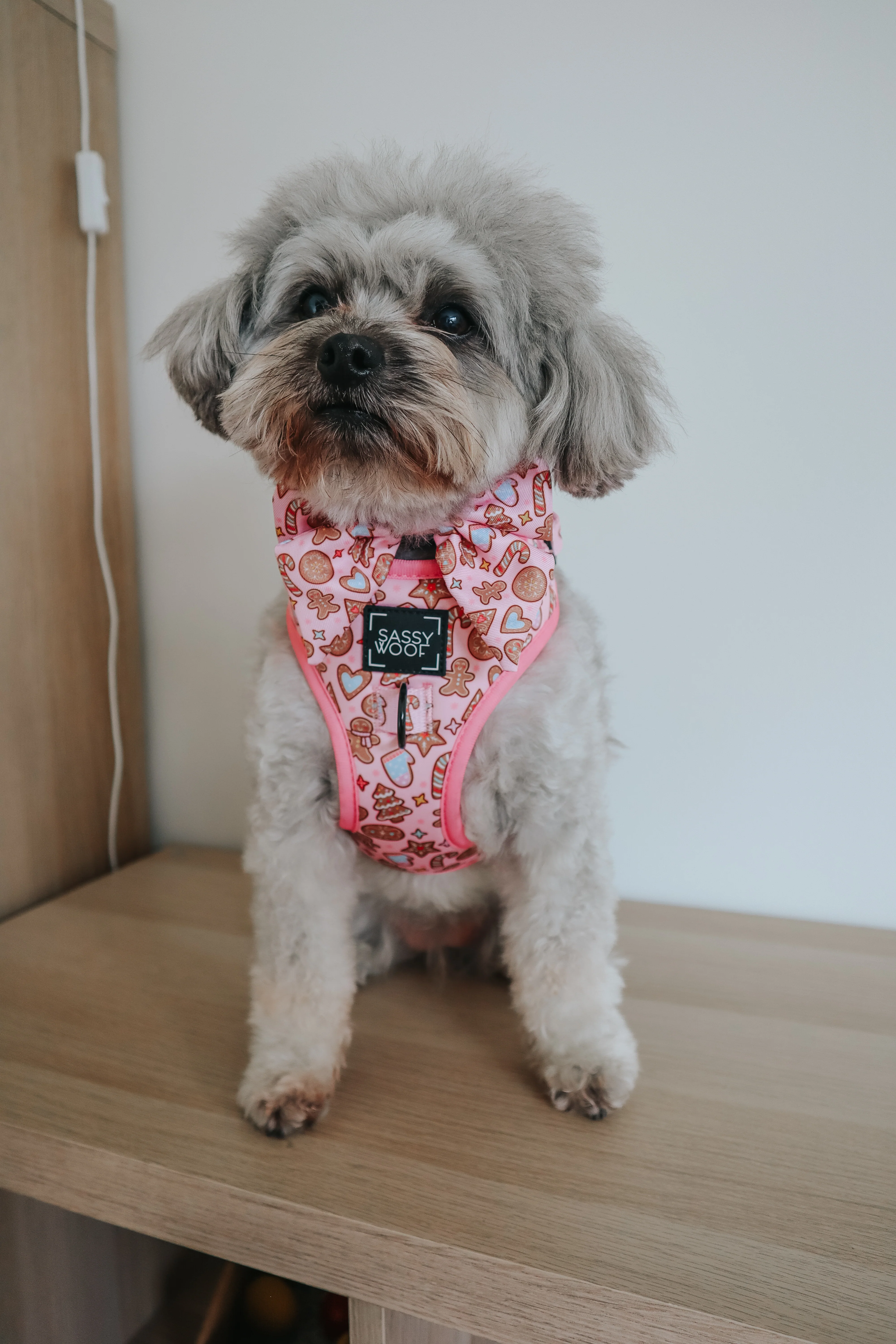 Dog Adjustable Harness - Dough My Goodness - Image 9