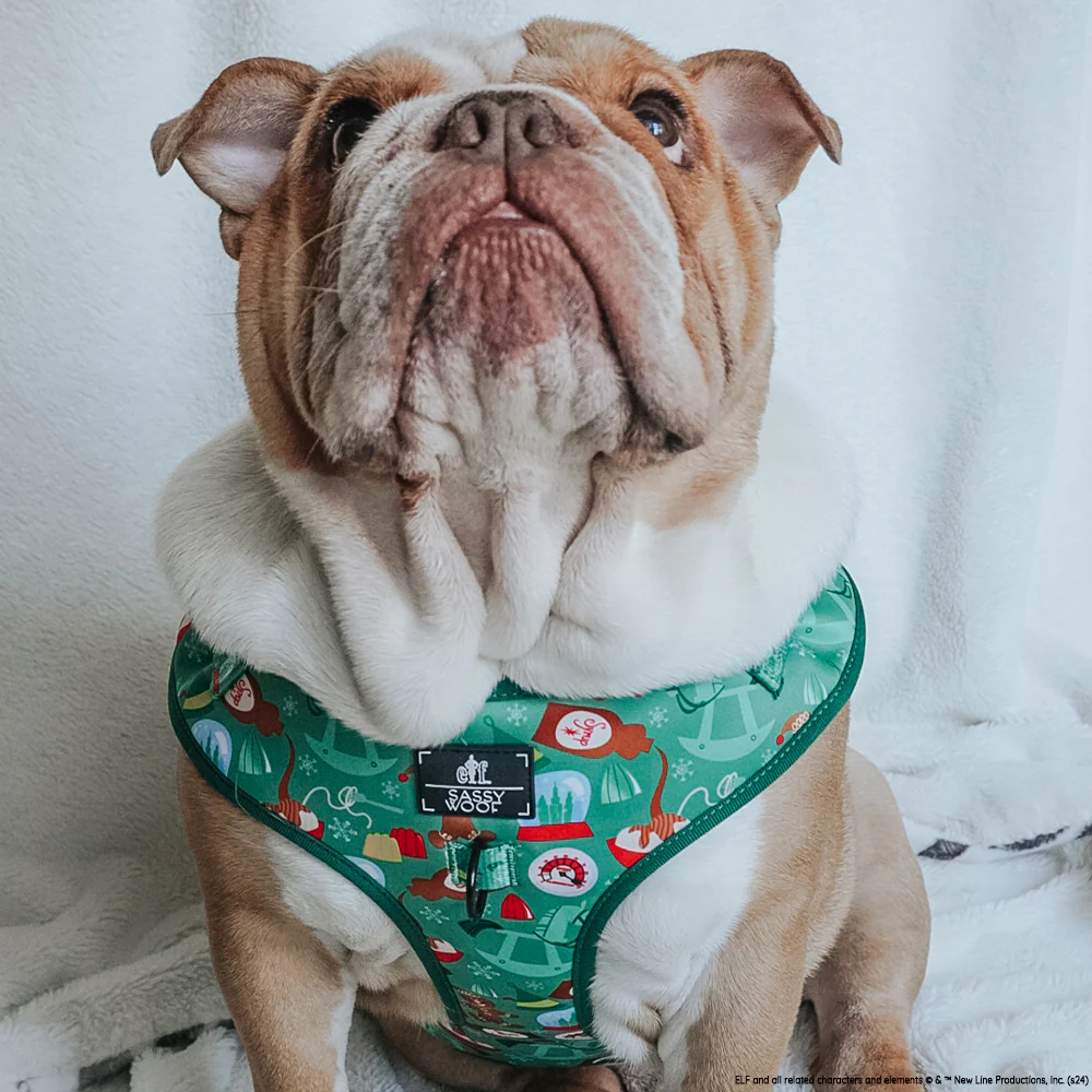 Dog Adjustable Harness - Elf™ - Image 13