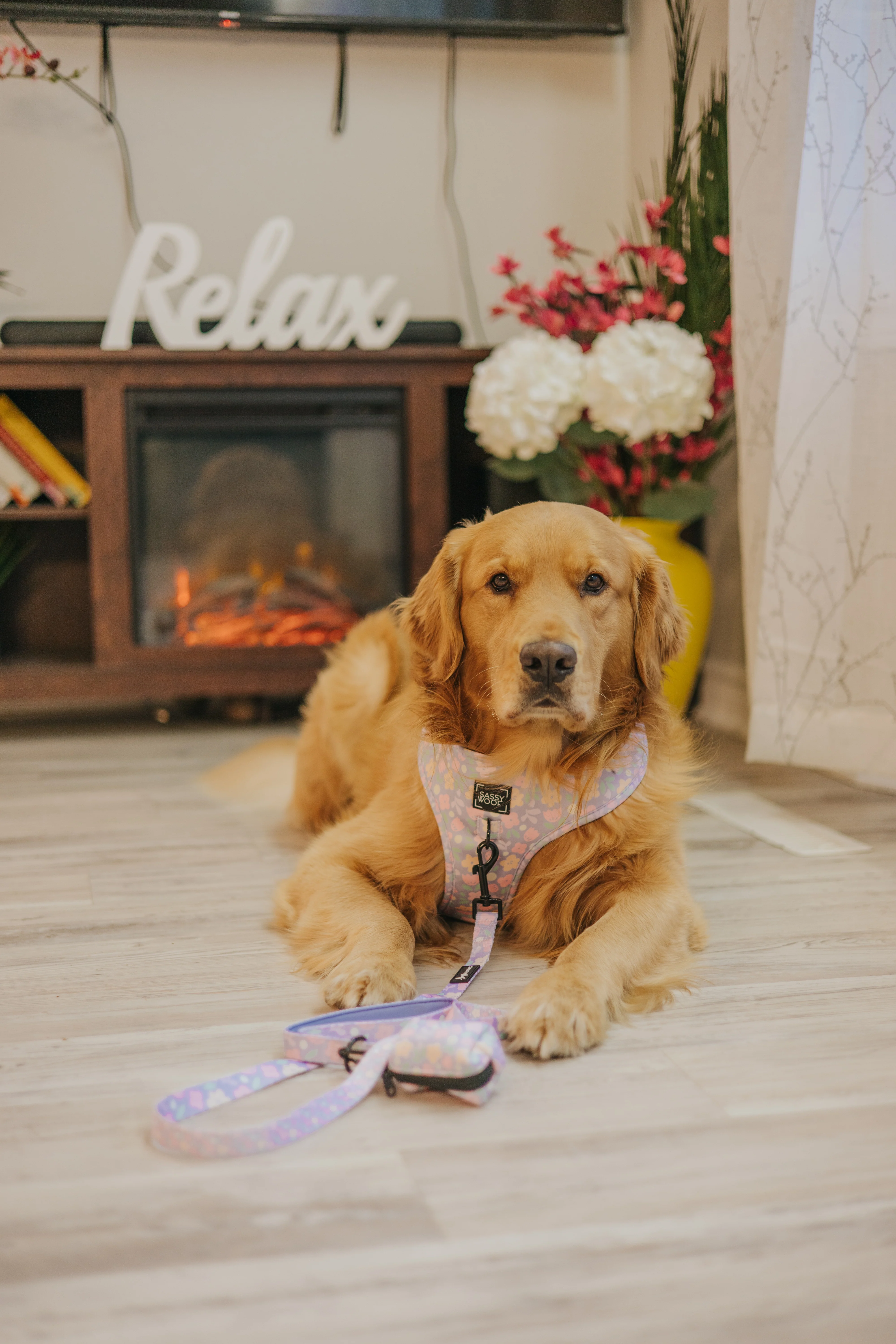 Dog Adjustable Harness - Fleur de Sass - Image 11