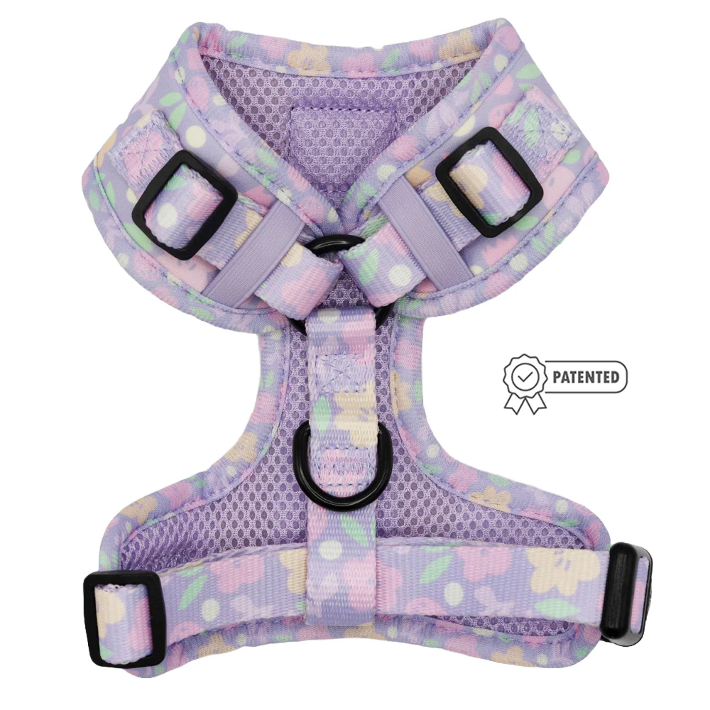 Dog Adjustable Harness - Fleur de Sass - Image 2