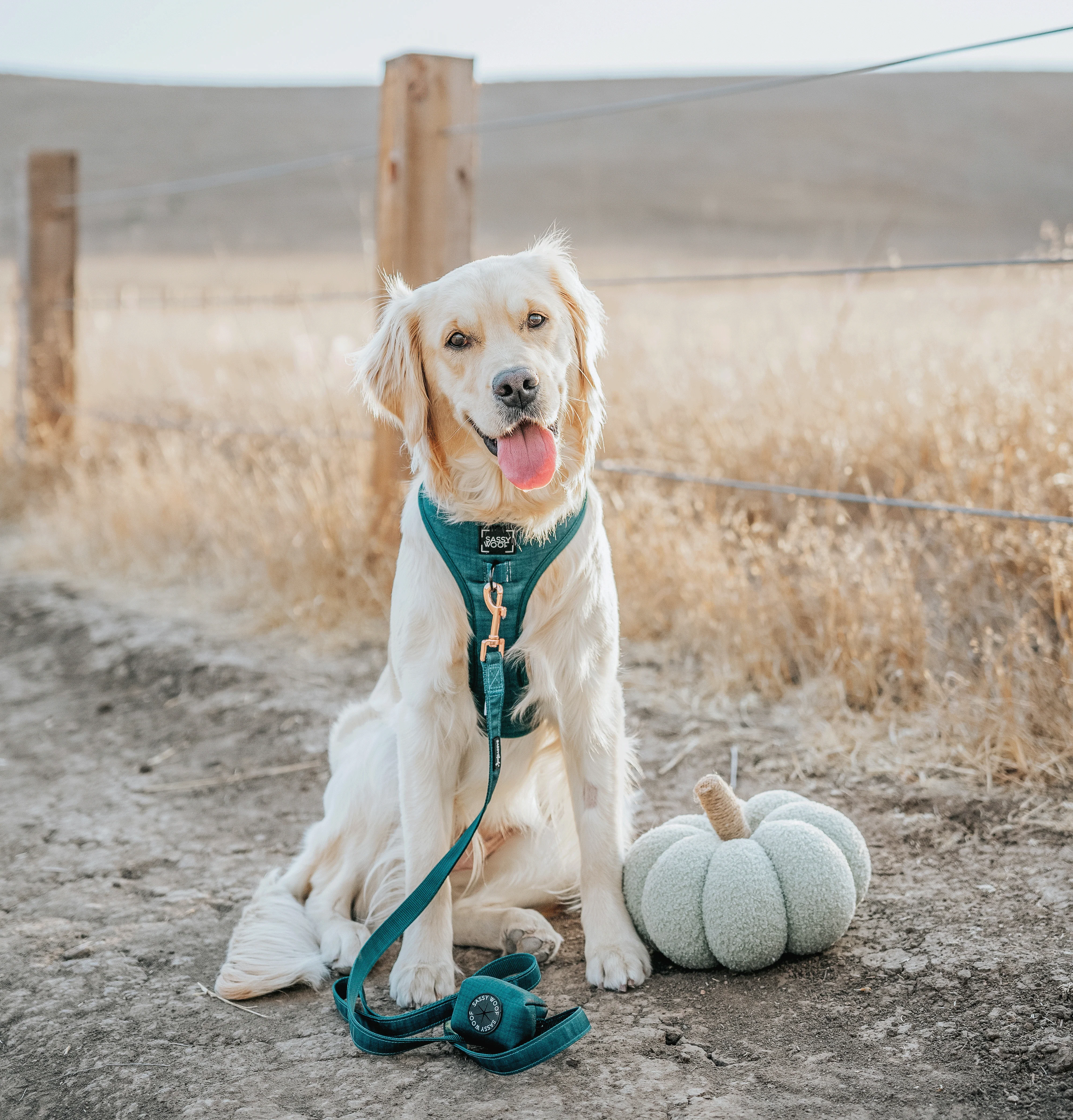 Dog Adjustable Harness - Forest - Image 12