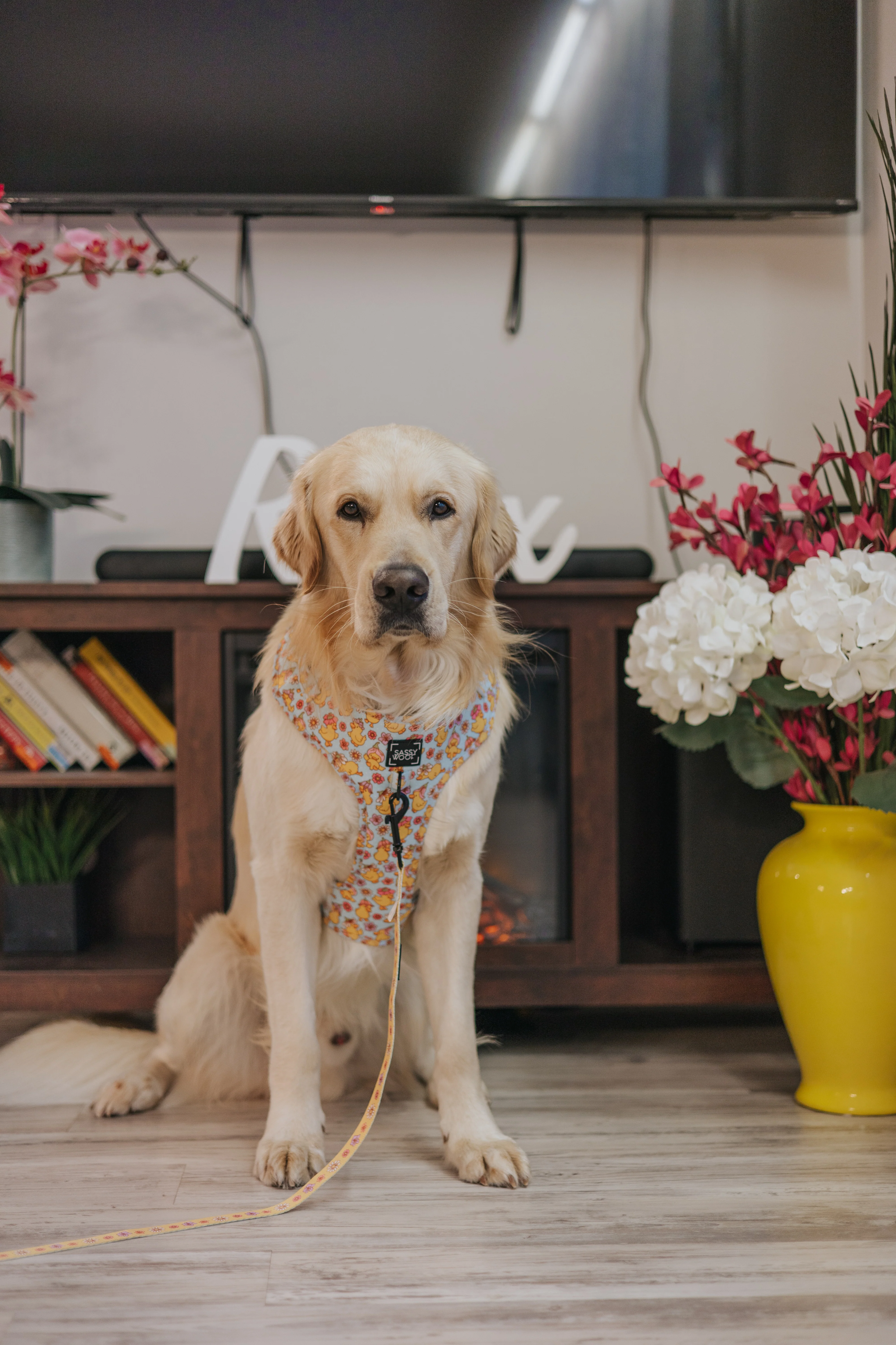 Dog Adjustable Harness - Good Duck, Babe! - Image 10