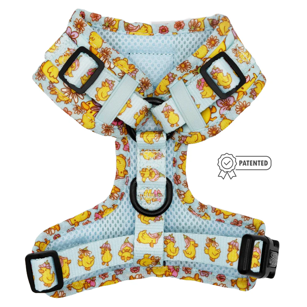 Dog Adjustable Harness - Good Duck, Babe! - Image 2