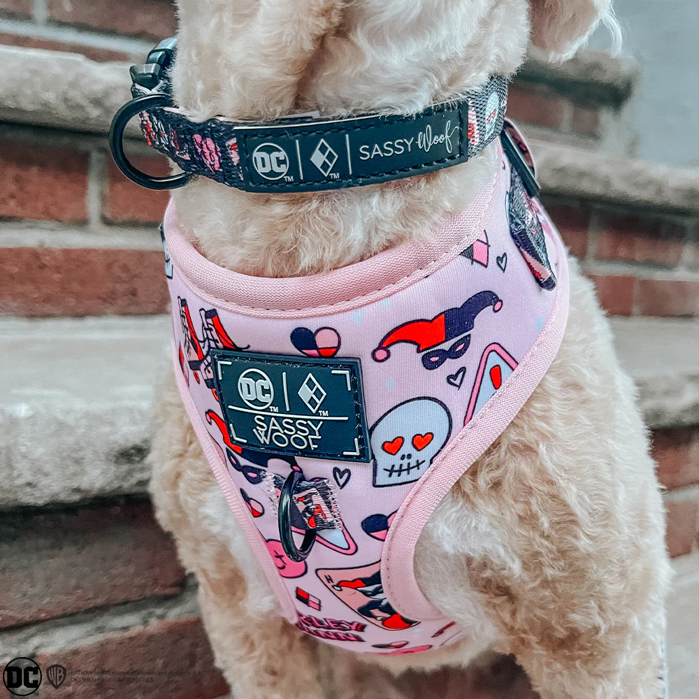 Dog Adjustable Harness - Harley Quinn™ - Image 14