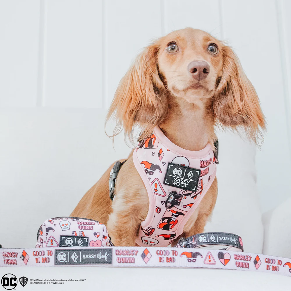 Dog Adjustable Harness - Harley Quinn™ - Image 17