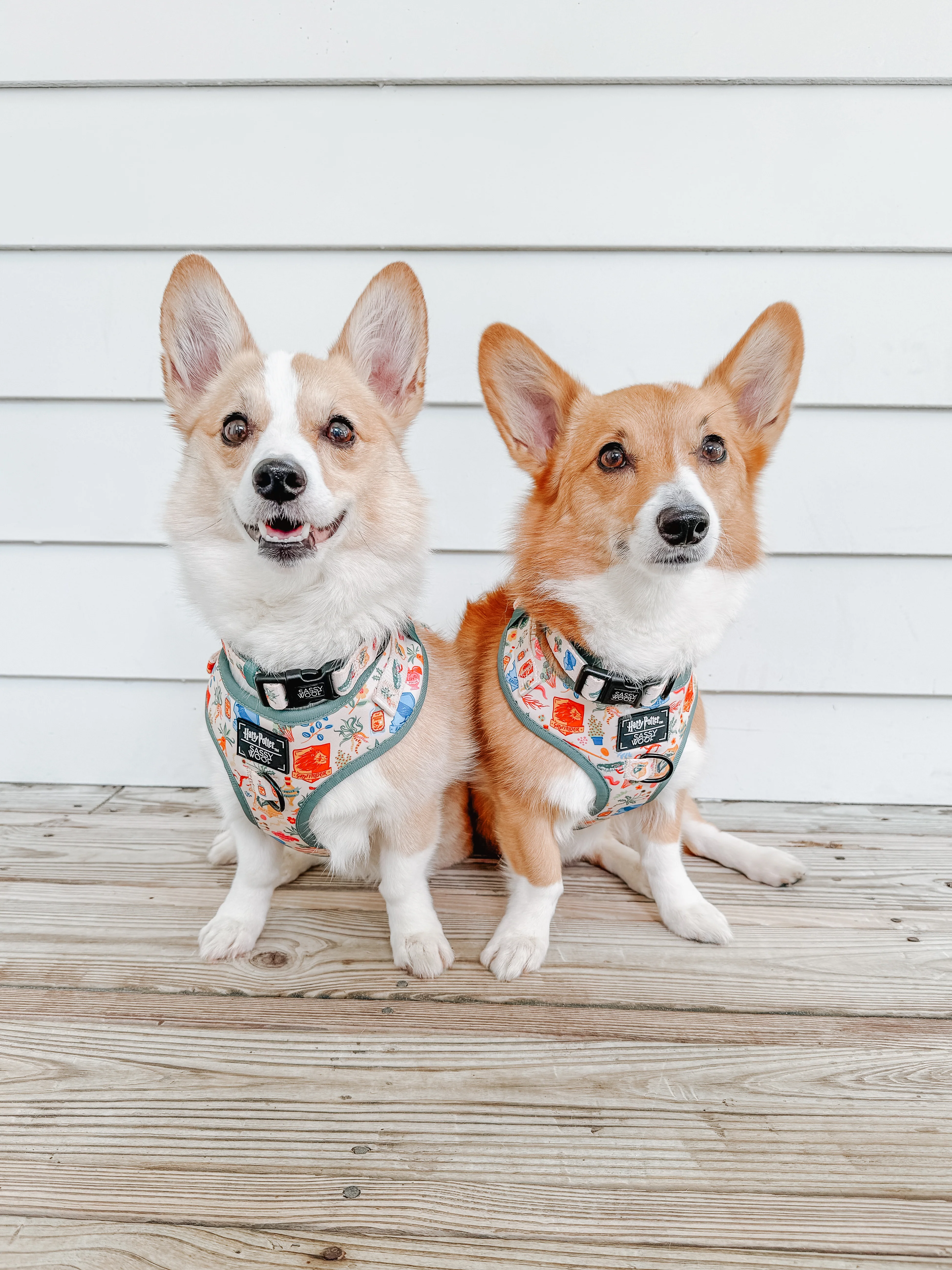 Dog Adjustable Harness - Harry Potter™ Herbology - Image 6