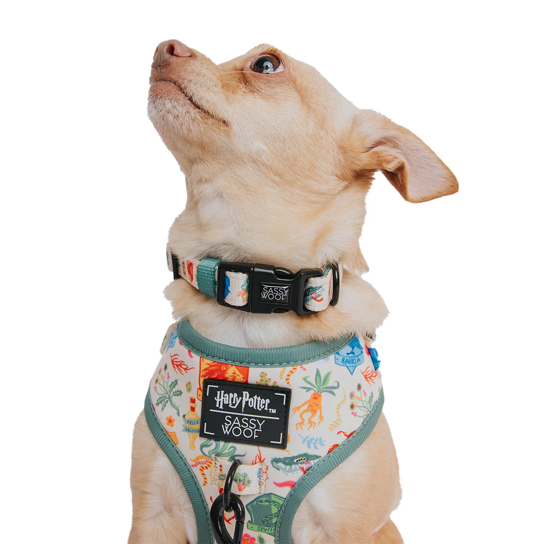 Dog Adjustable Harness - Harry Potter™ Herbology - Image 8
