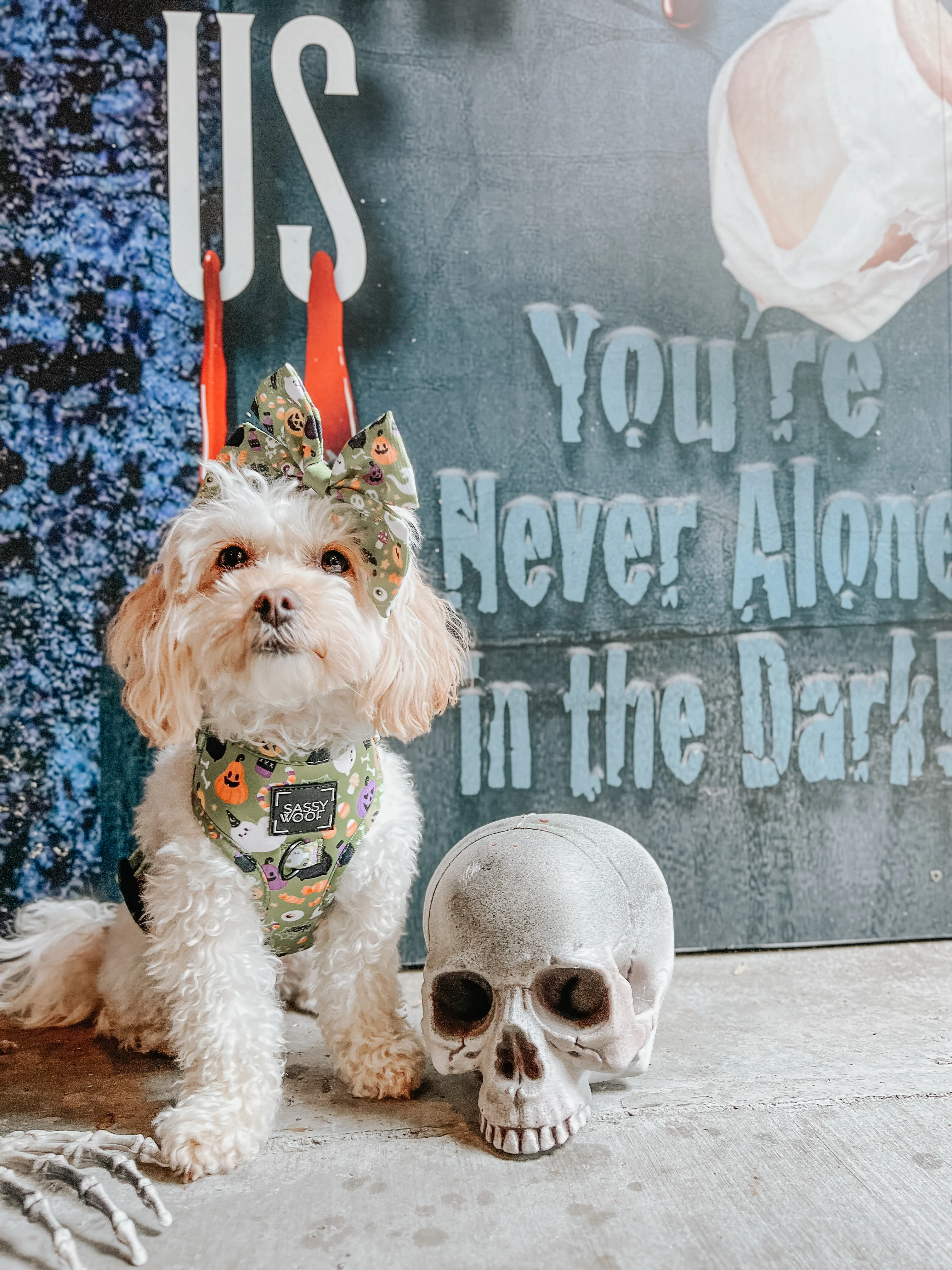 Dog Adjustable Harness - Haunt Mess - Image 9