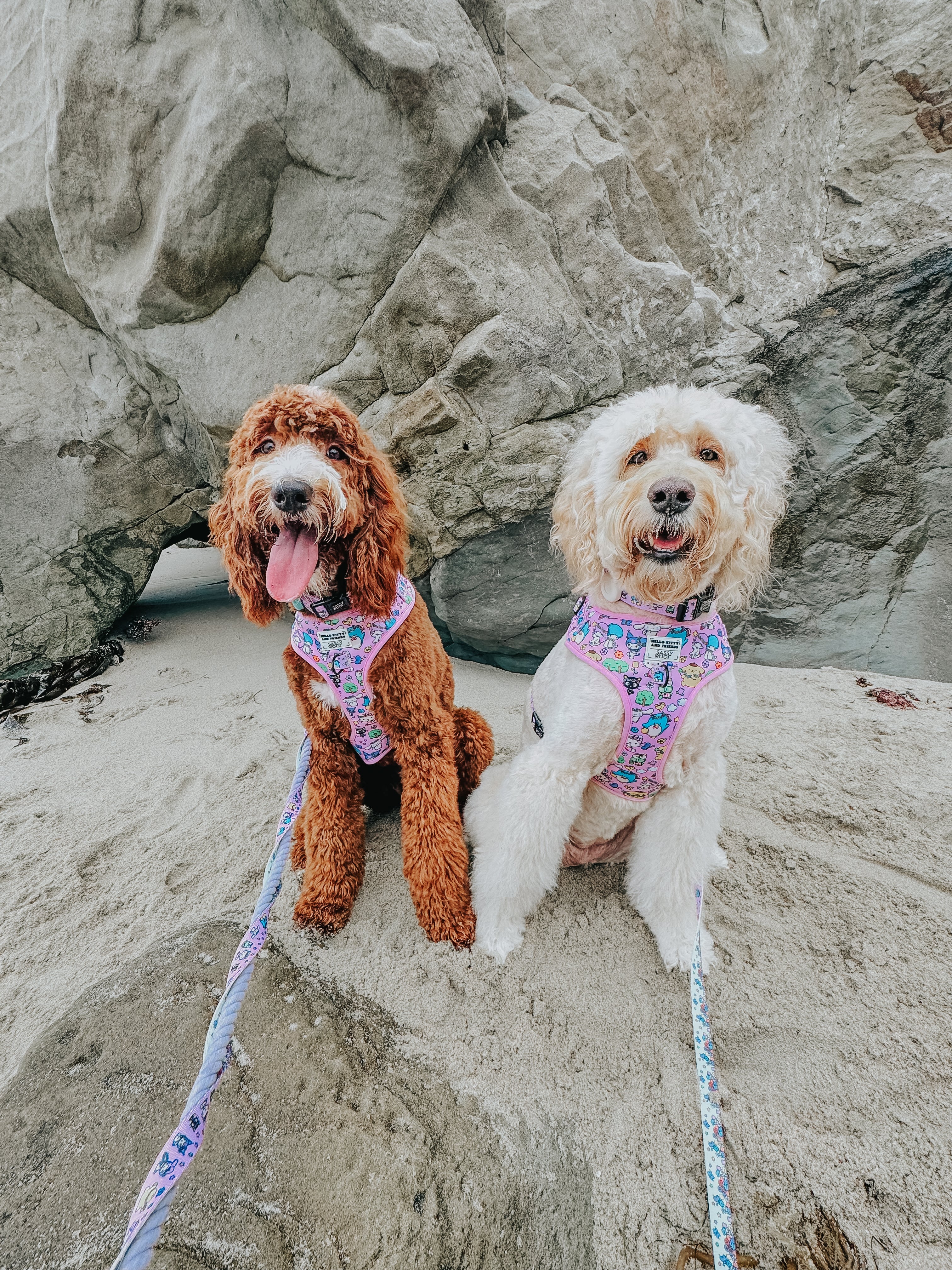 Dog Adjustable Harness - Hello Kitty® & Friends Flower Festival - Image 14