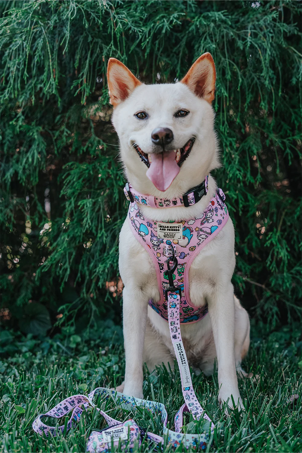 Dog Adjustable Harness - Hello Kitty® & Friends Flower Festival - Image 16