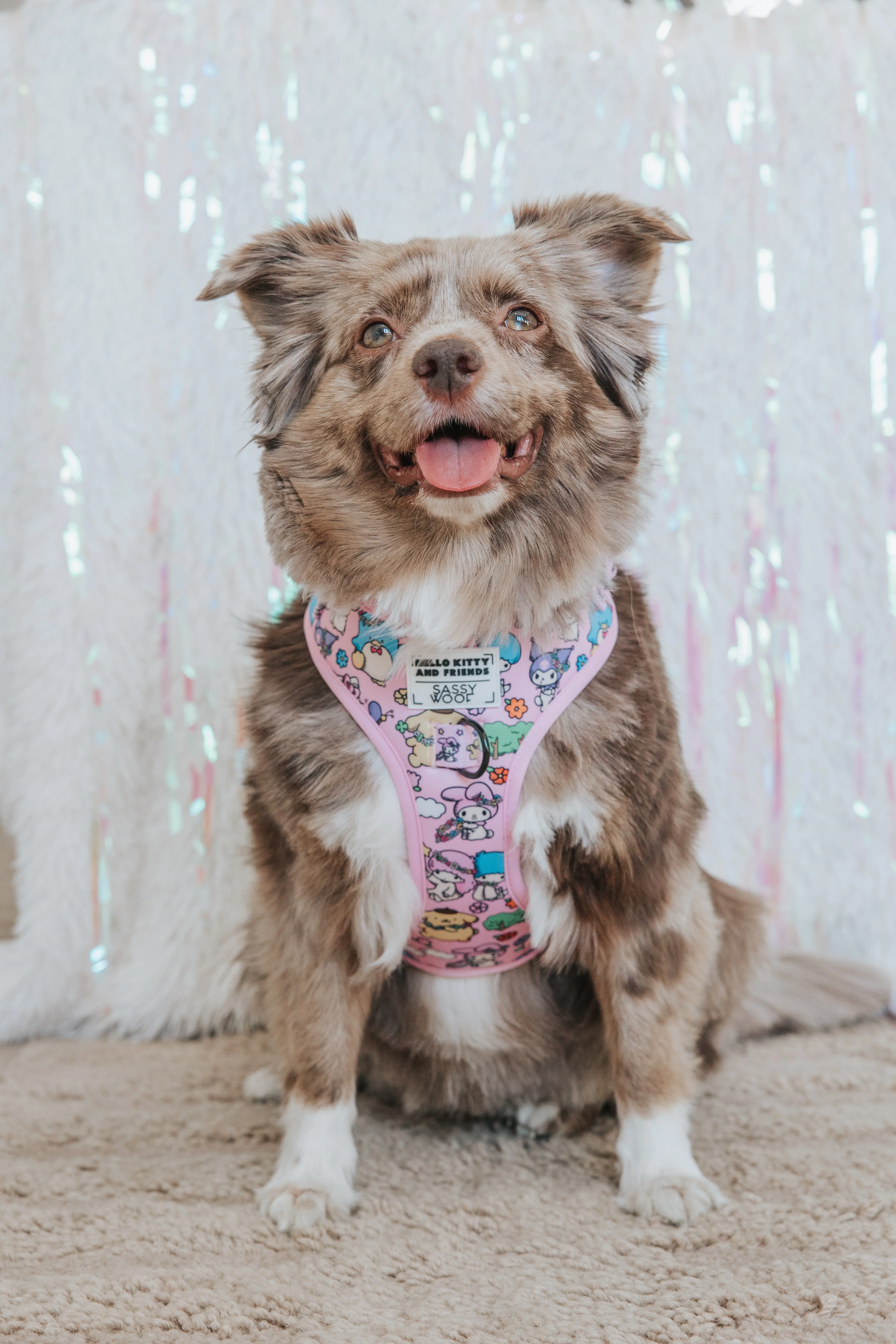 Dog Adjustable Harness - Hello Kitty® & Friends Flower Festival - Image 7