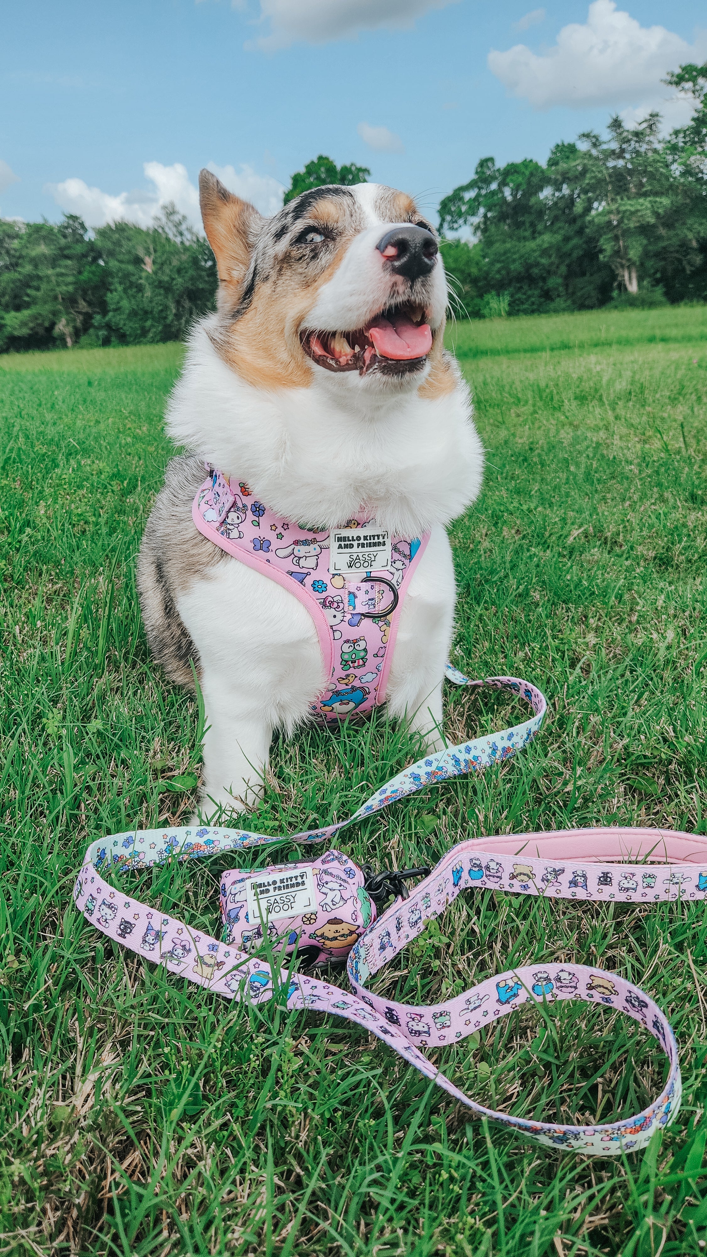 Dog Adjustable Harness - Hello Kitty® & Friends Flower Festival - Image 9