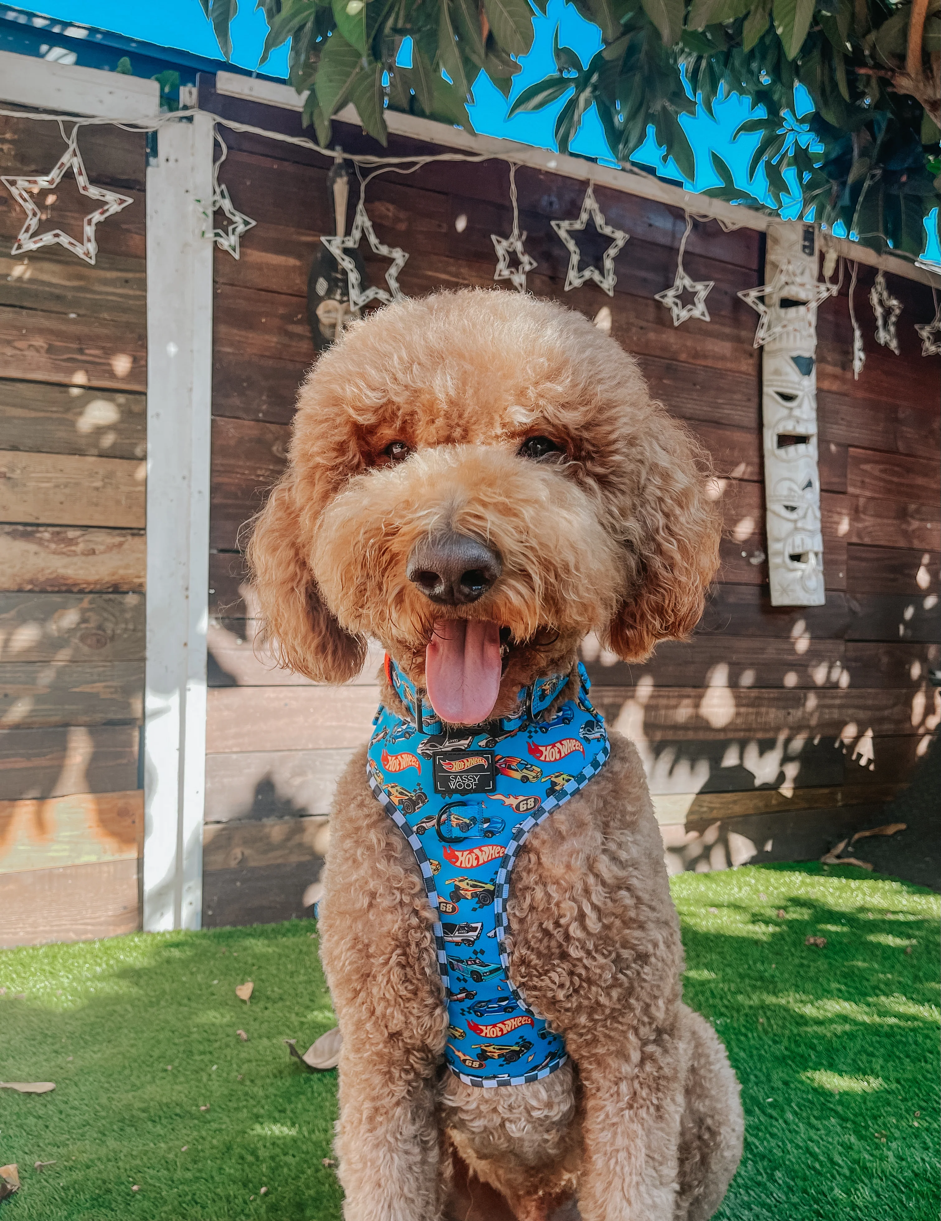 Dog Adjustable Harness - Hot Wheels™ - Image 10